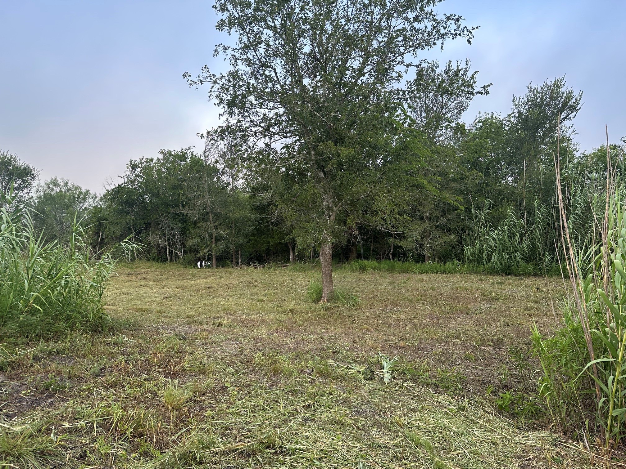5914 Guettermann Ehler Road Property Photo 3