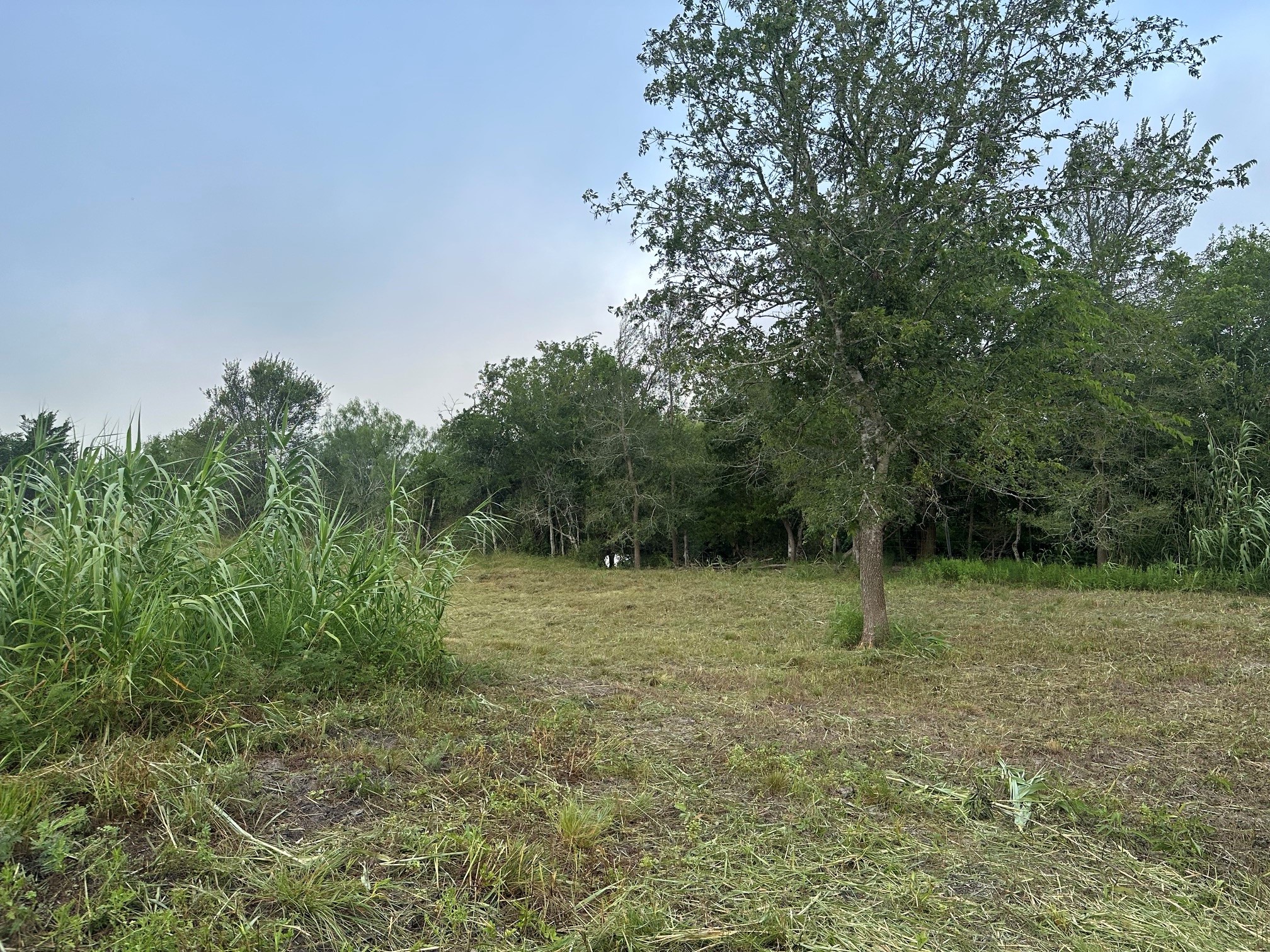 5914 Guettermann Ehler Road Property Photo 4