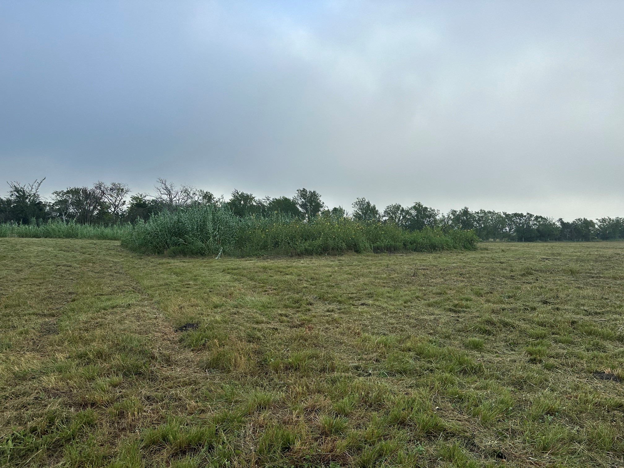 5914 Guettermann Ehler Road Property Photo 5