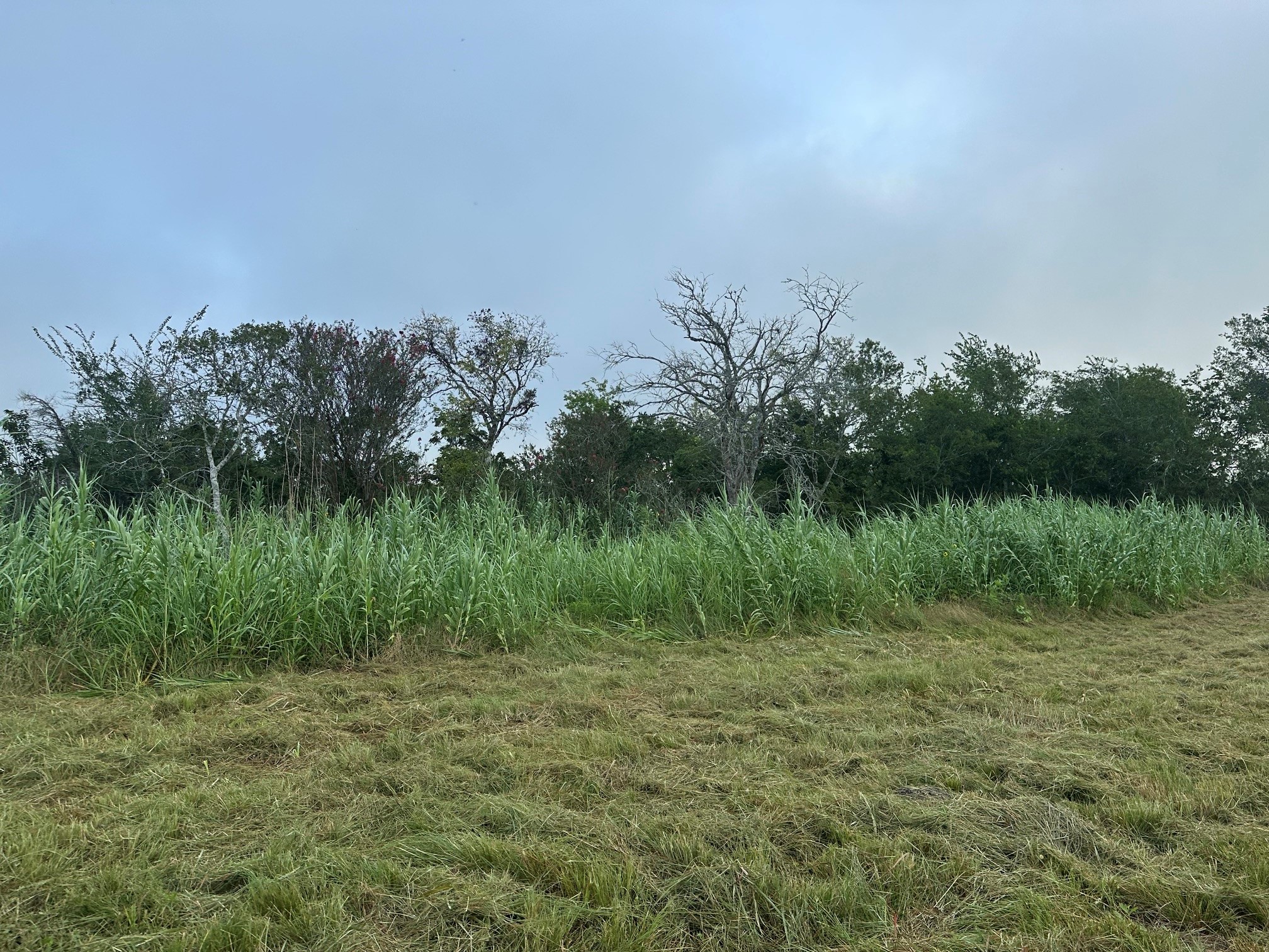 5914 Guettermann Ehler Road Property Photo 6