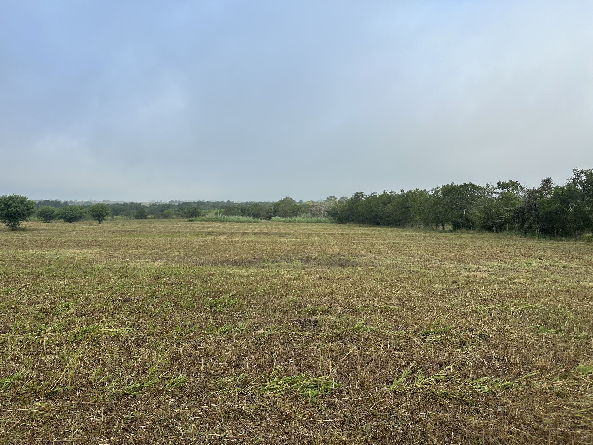 5914 Guettermann Ehler Road Property Photo 7