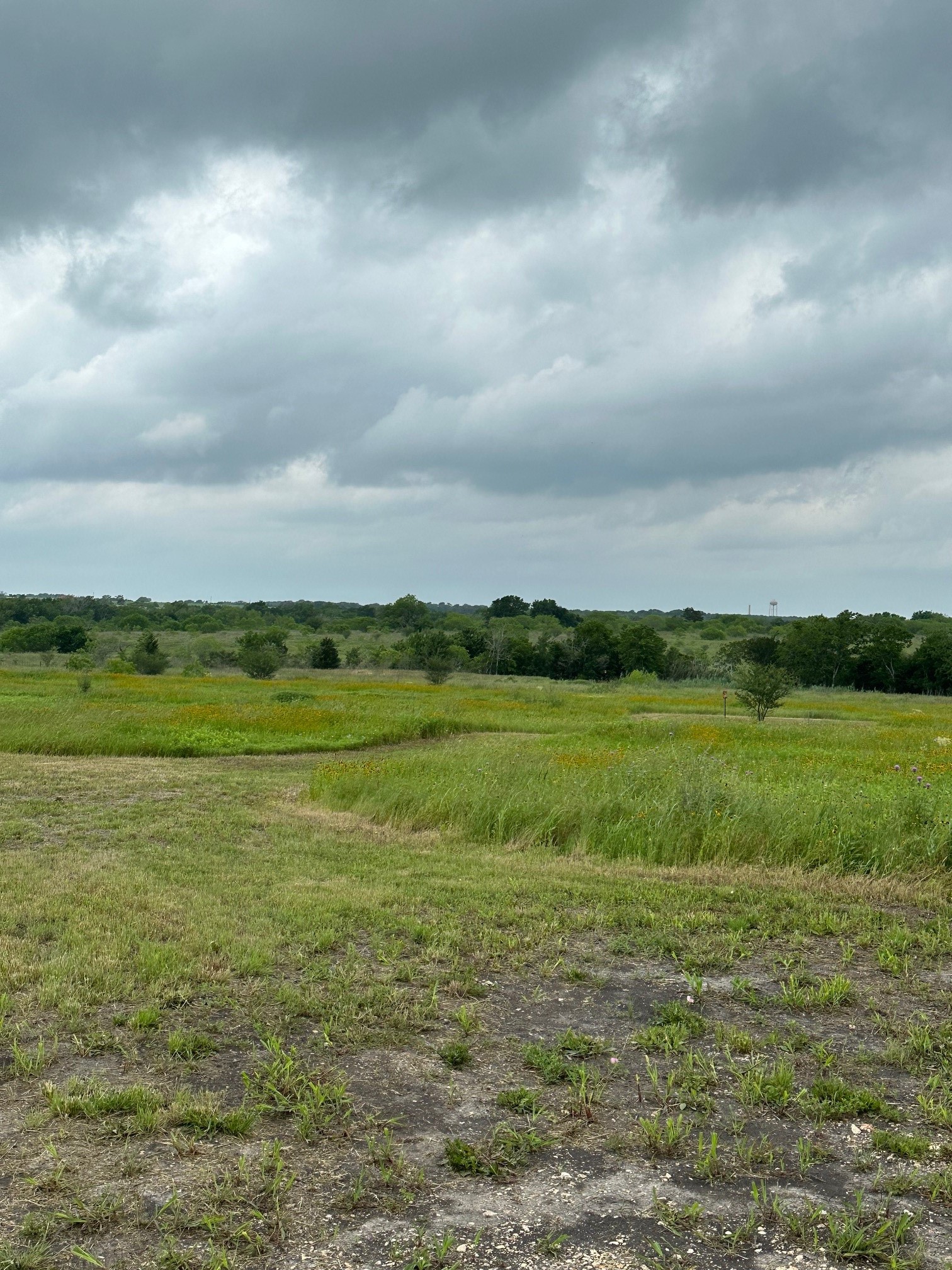 5914 Guettermann Ehler Road Property Photo 9