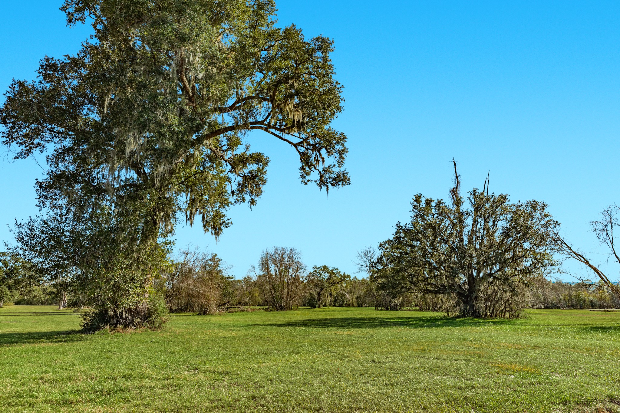 1119 Indian Ridge Property Photo 1