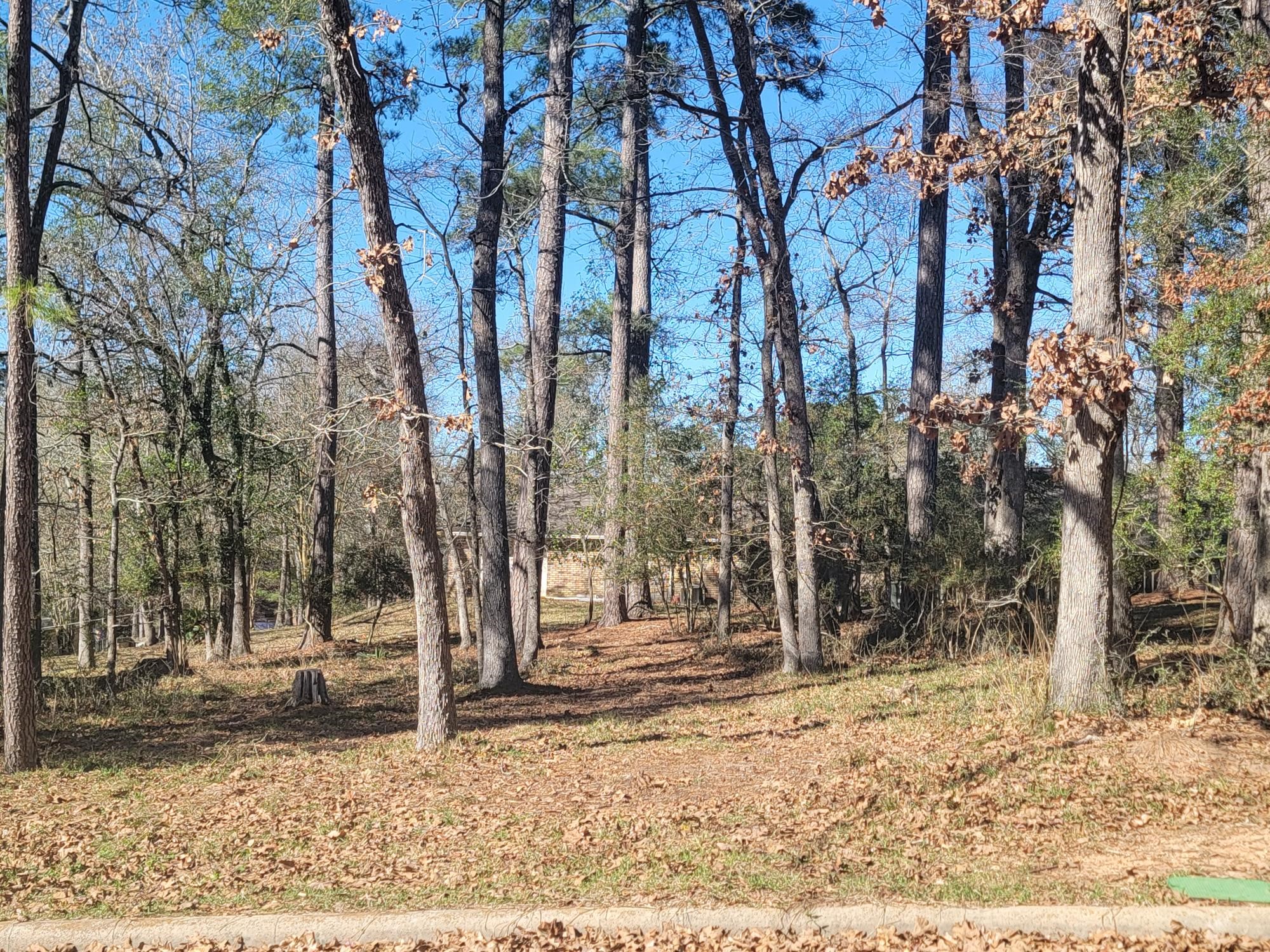1909 Rollingwood Drive Property Photo 2