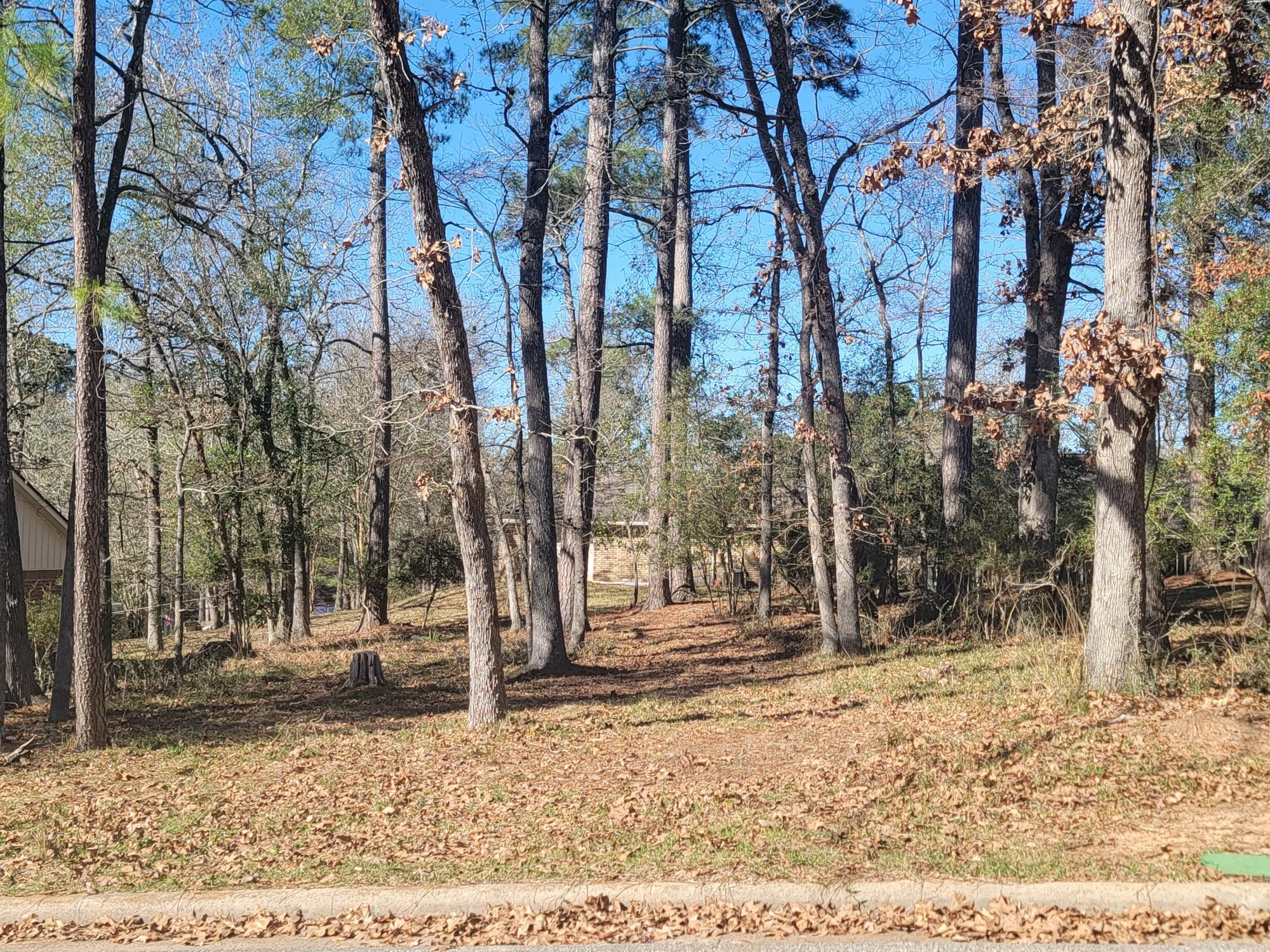 1909 Rollingwood Drive Property Photo 3