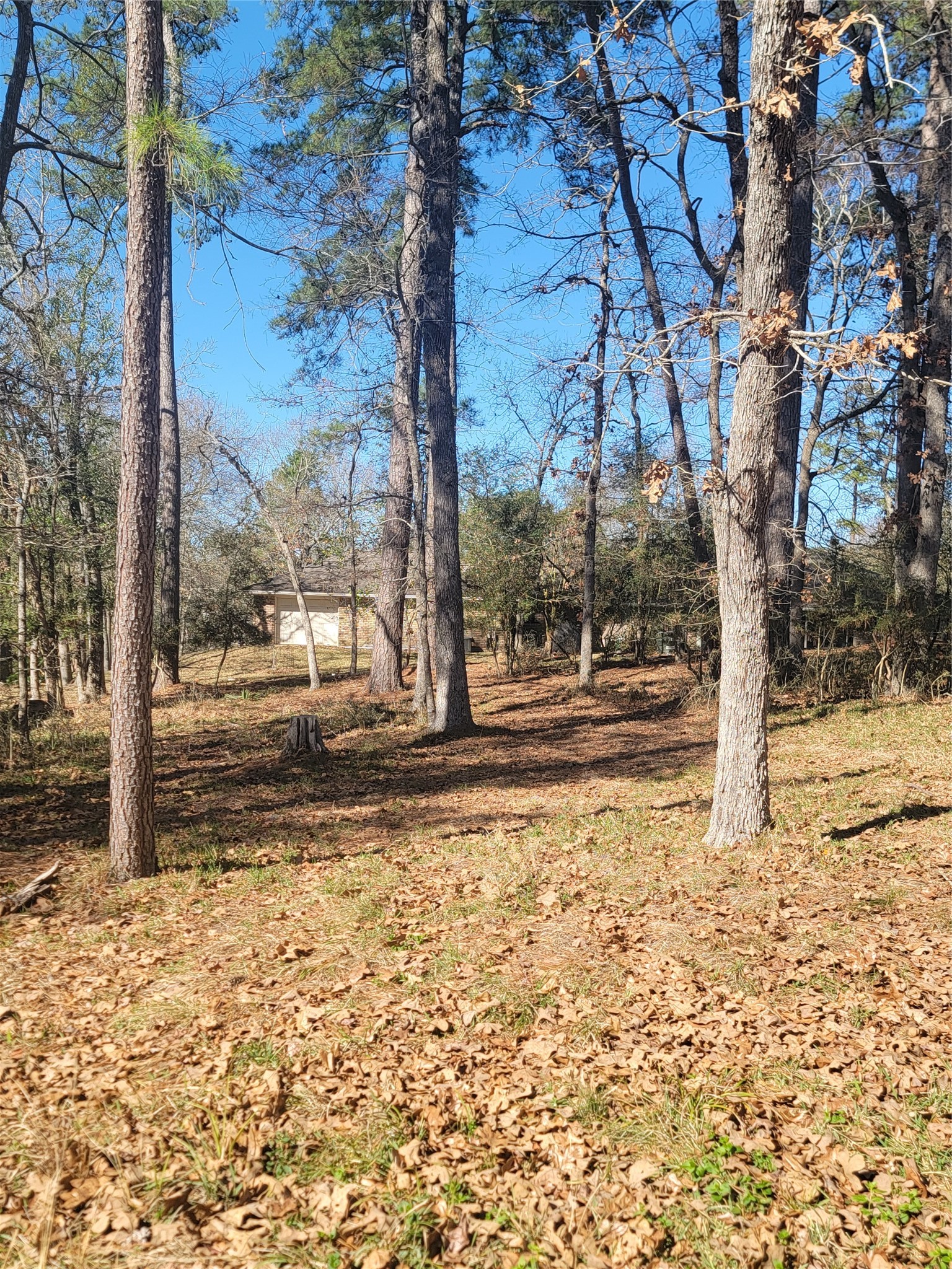 1909 Rollingwood Drive Property Photo 4