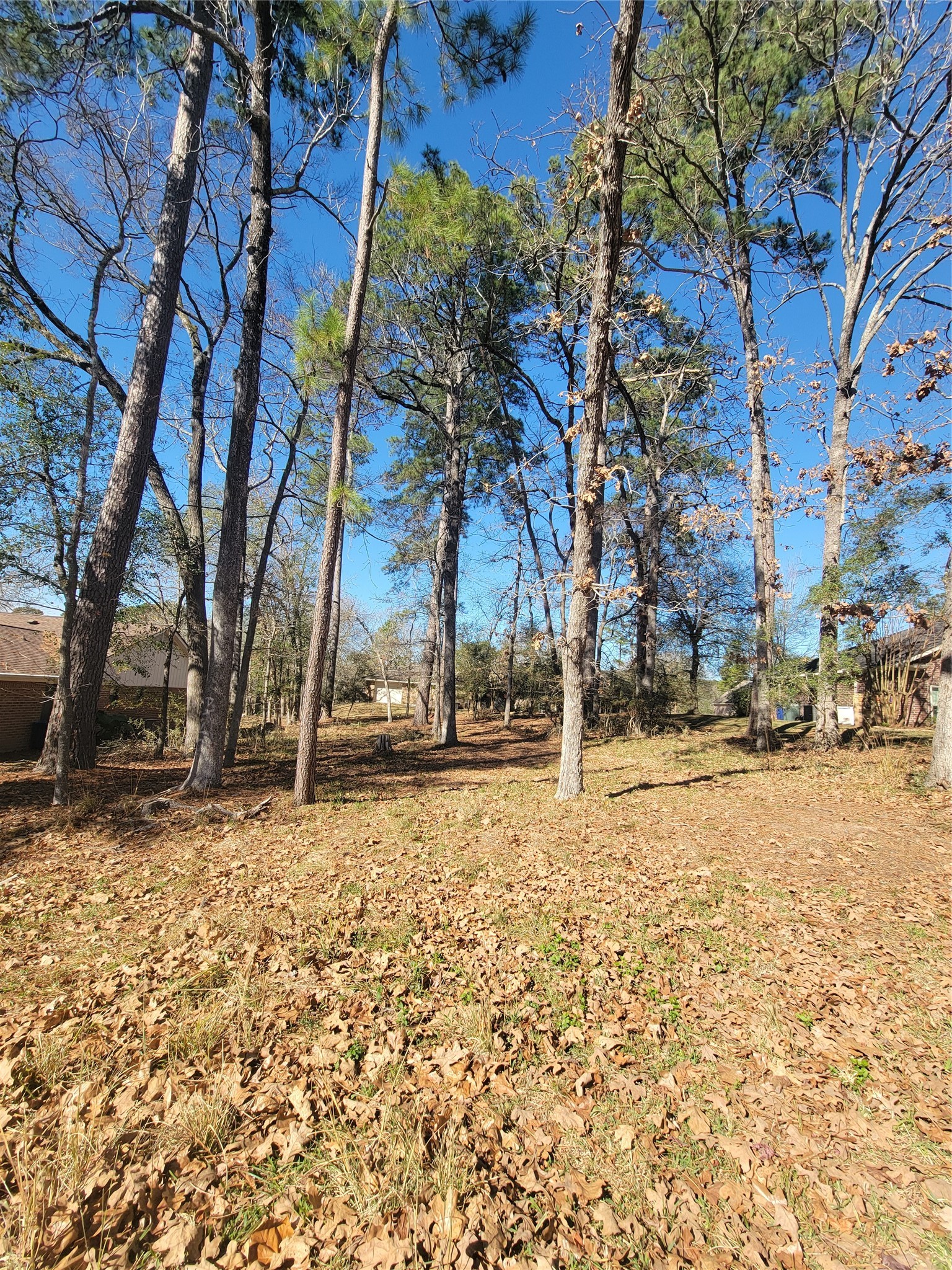 1909 Rollingwood Drive Property Photo 5