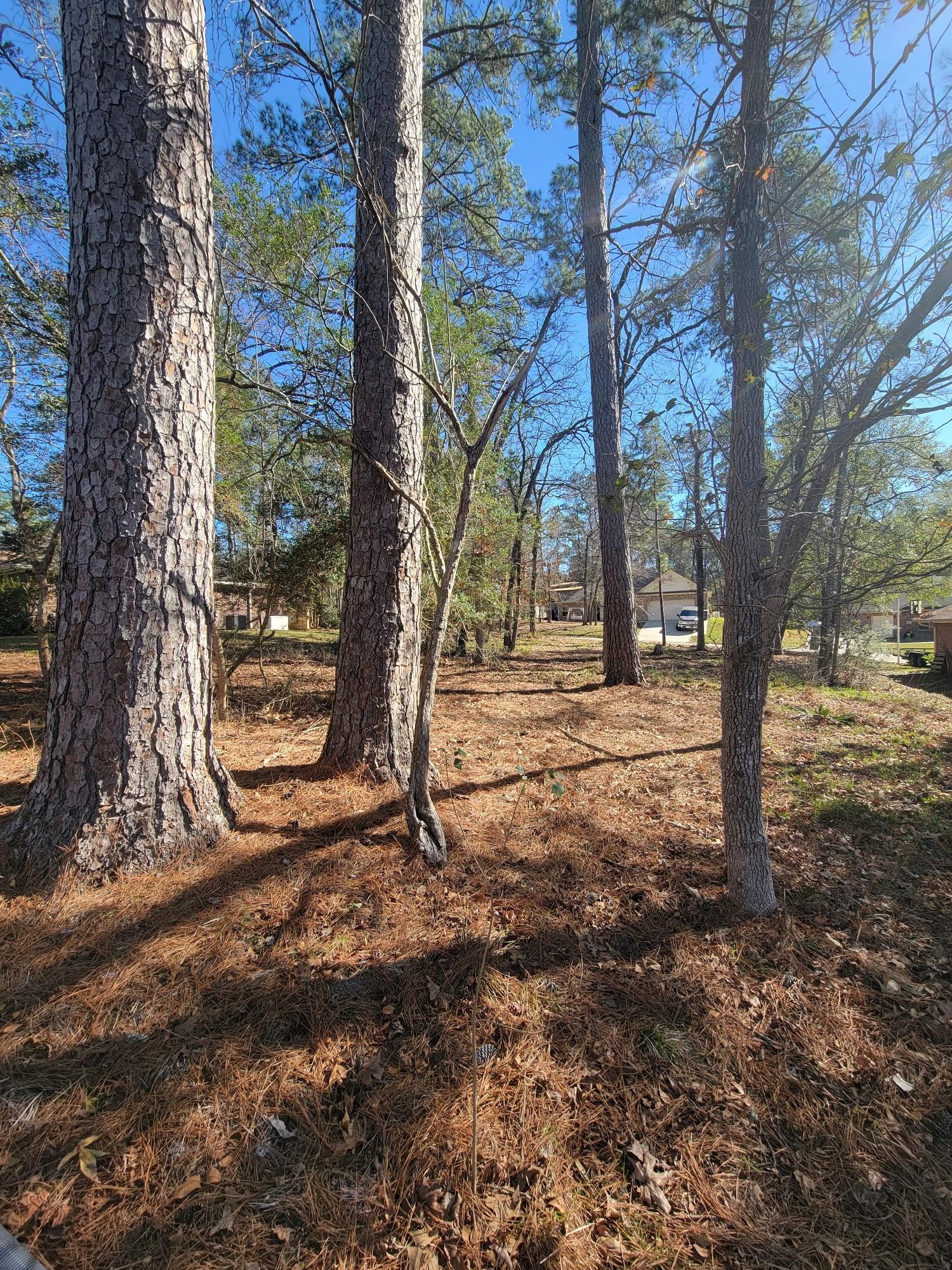 1909 Rollingwood Drive Property Photo 6