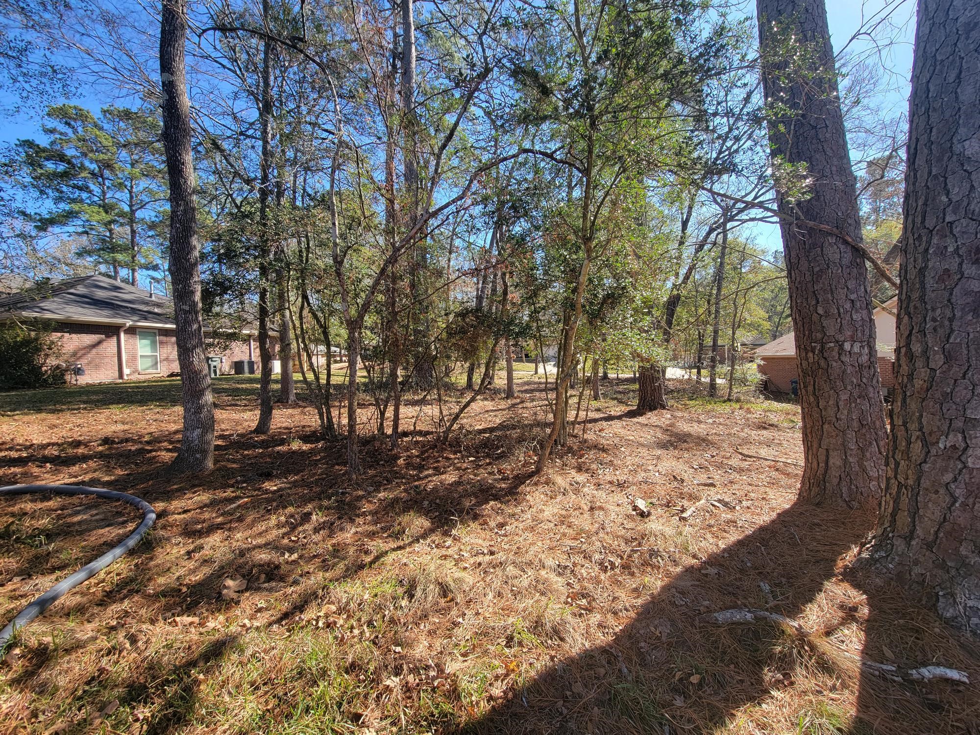 1909 Rollingwood Drive Property Photo 7