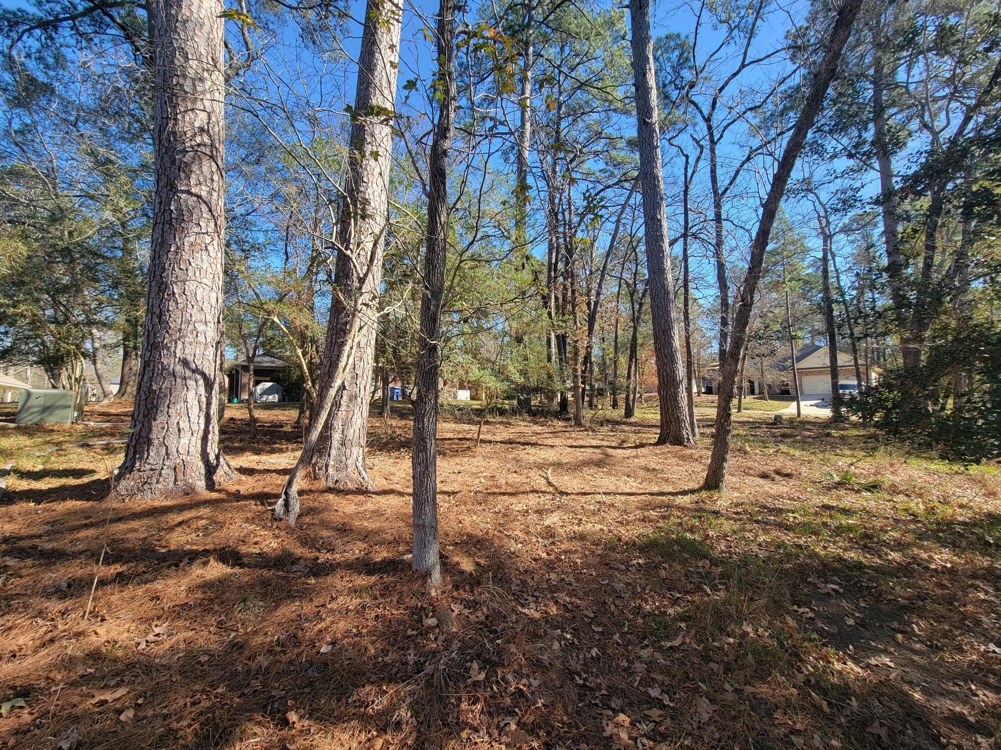 1909 Rollingwood Drive Property Photo 8