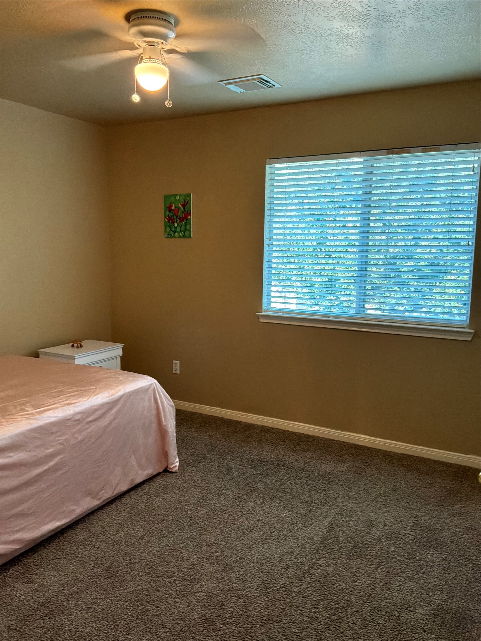 3119 Killdeer Lane Property Photo 15
