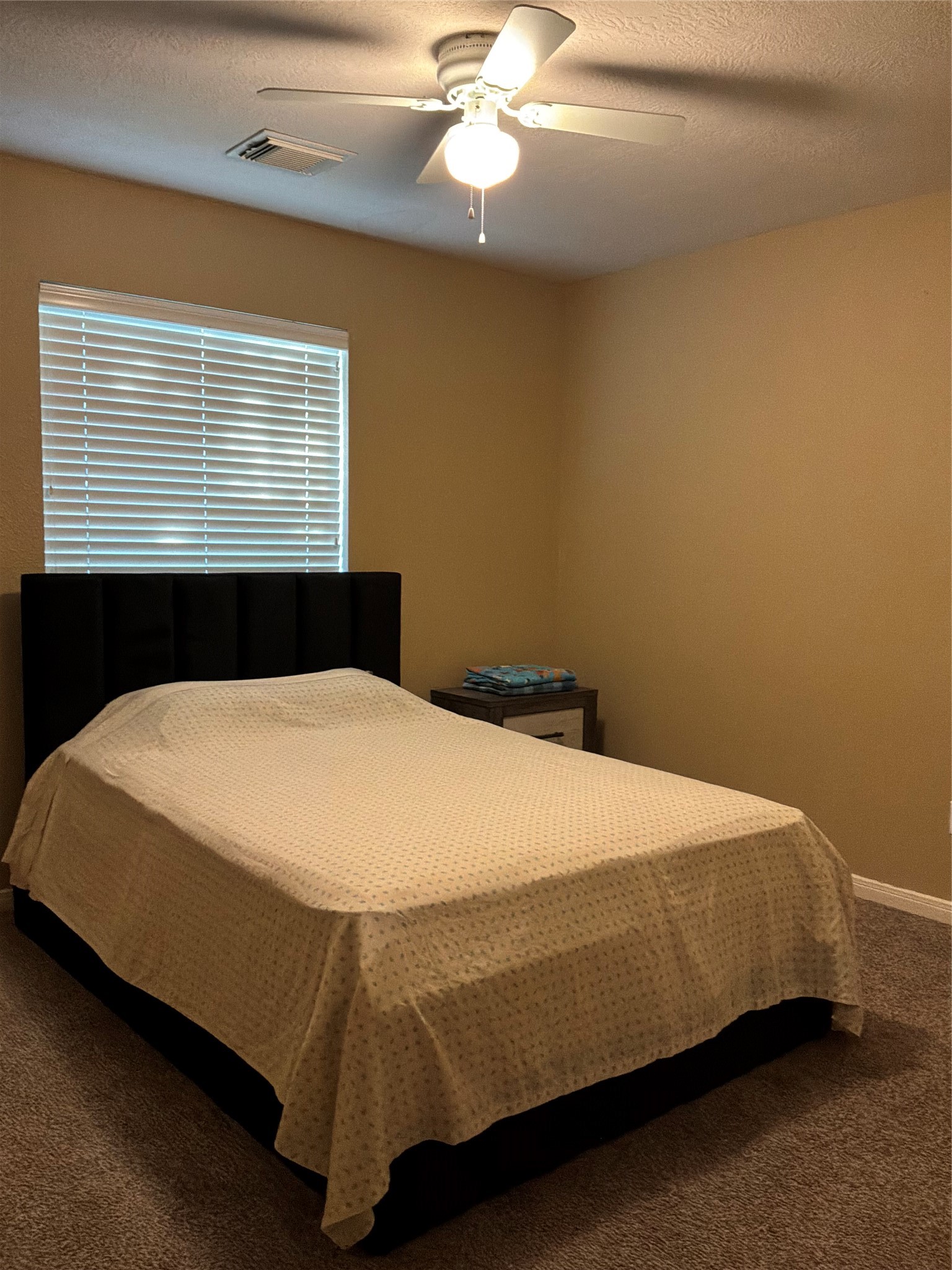 3119 Killdeer Lane Property Photo 16