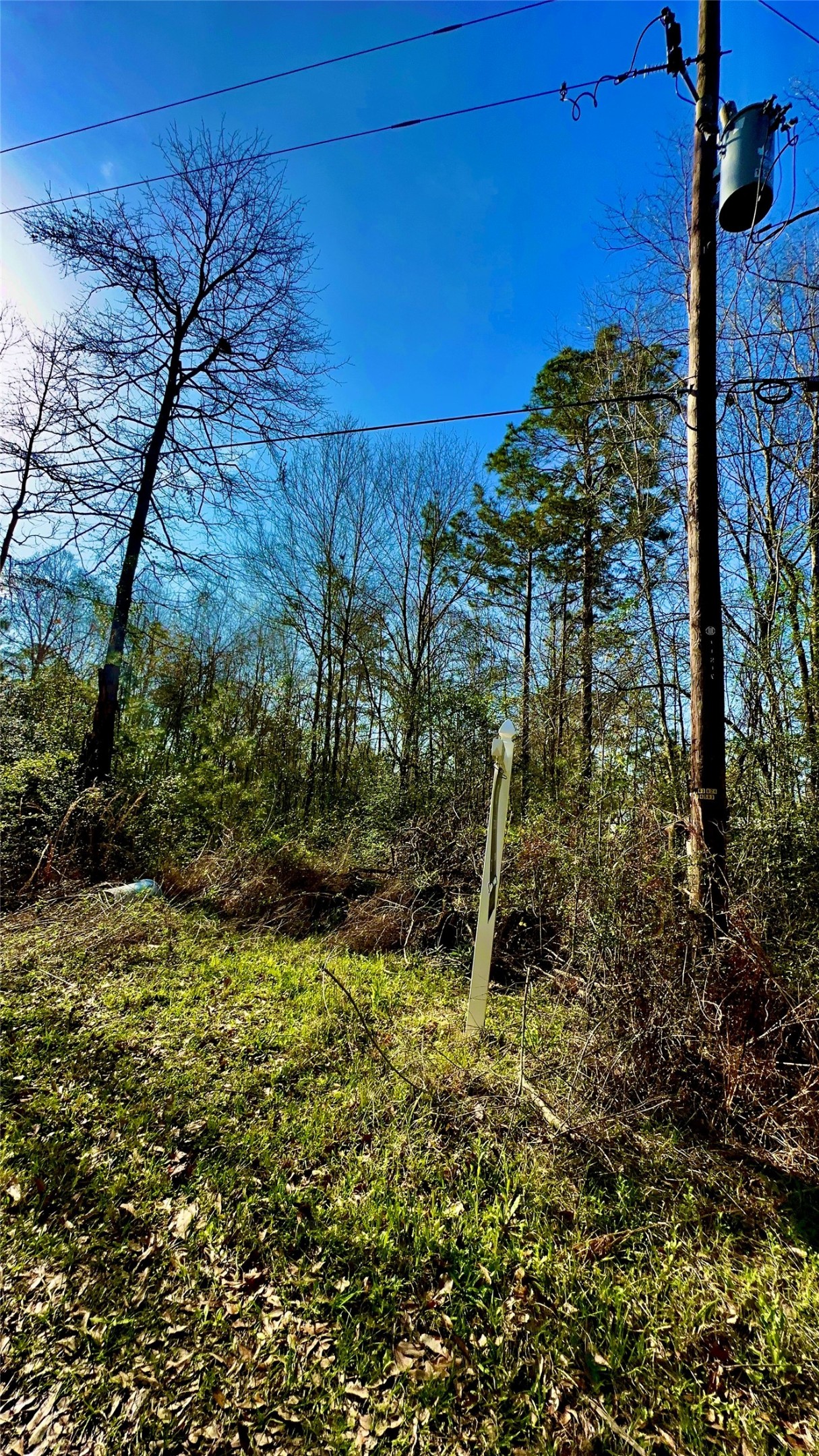 26992 Diamond C Property Photo 1