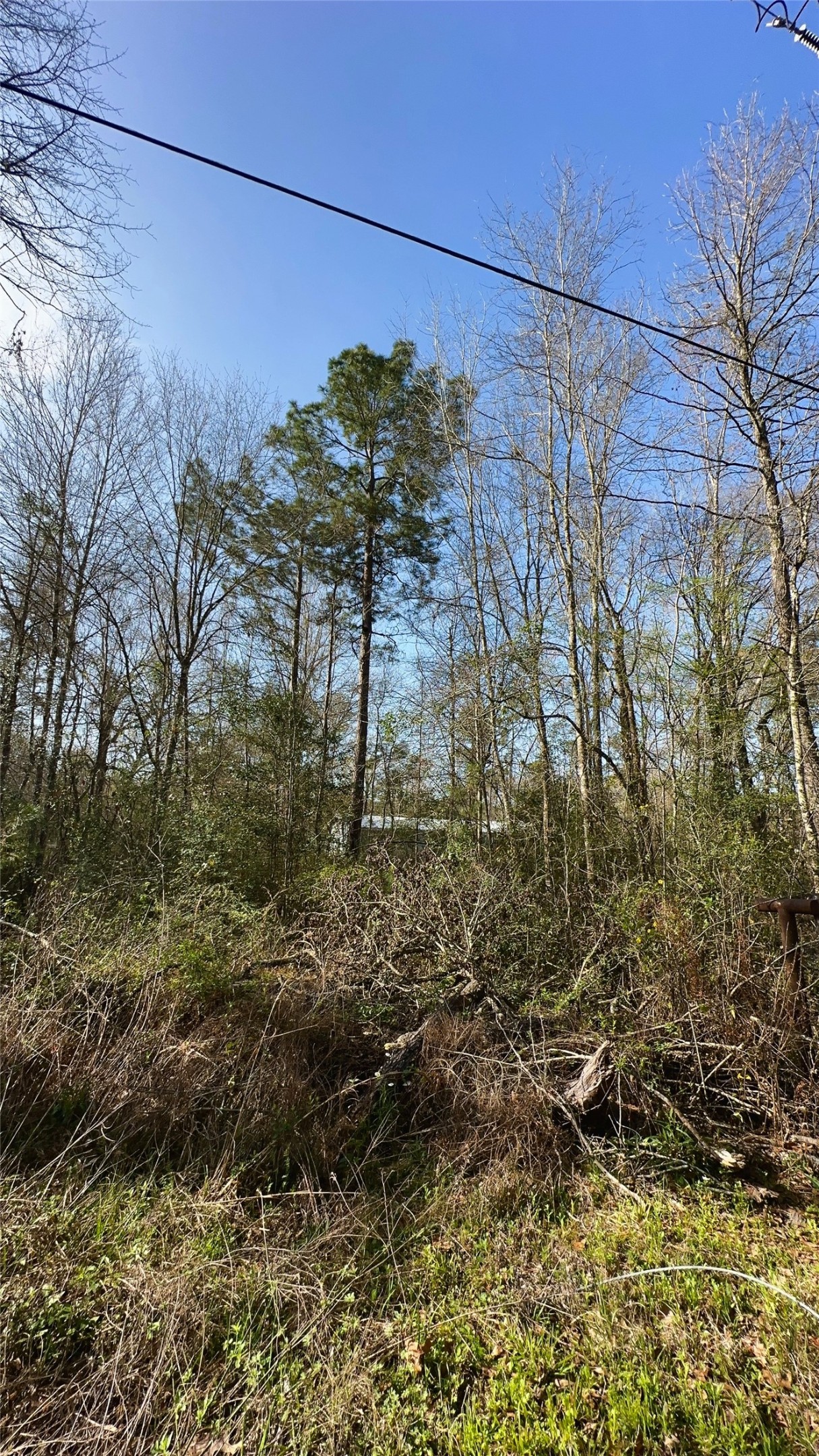 26992 Diamond C Property Photo 2