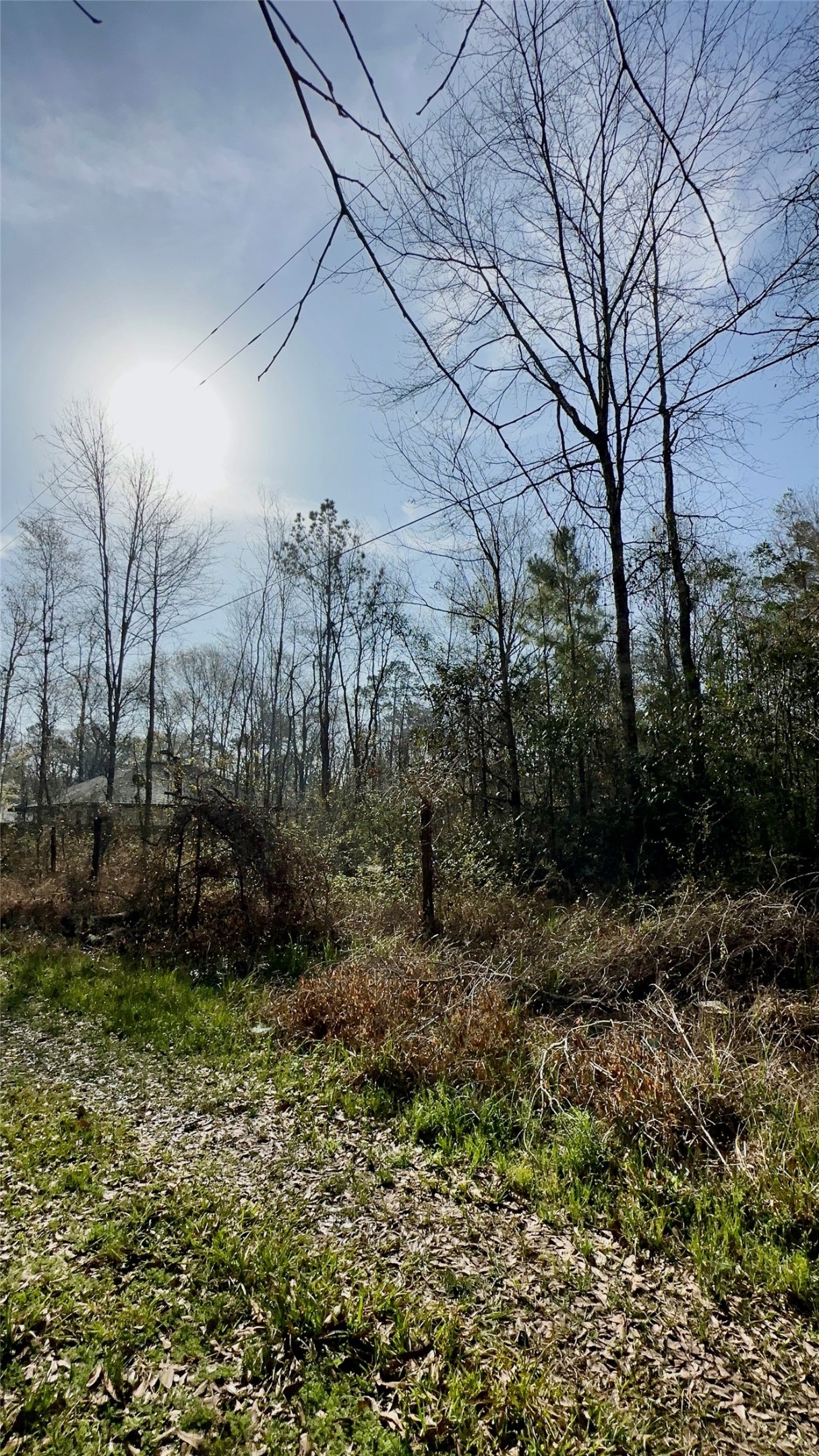 26992 Diamond C Property Photo 5