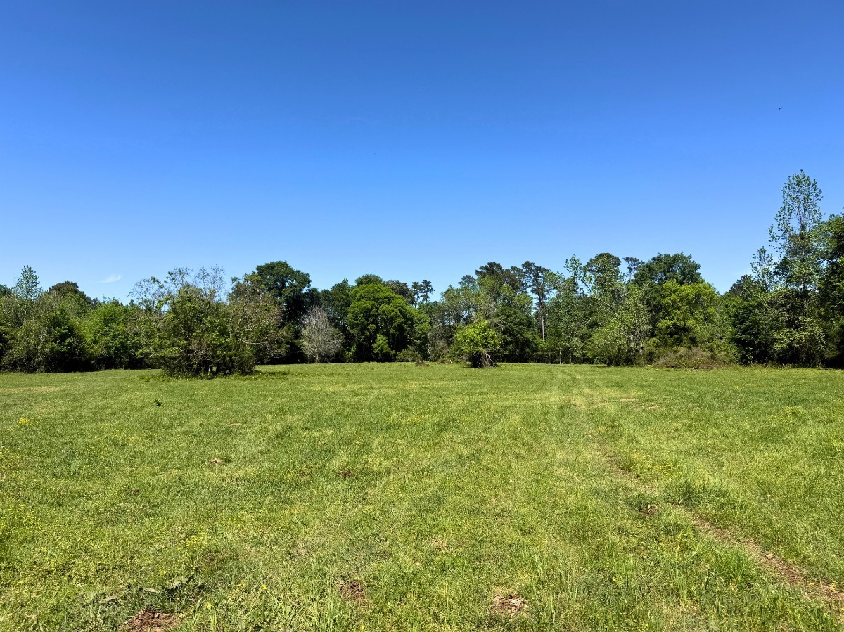 0 Hwy 150 Property Photo 11