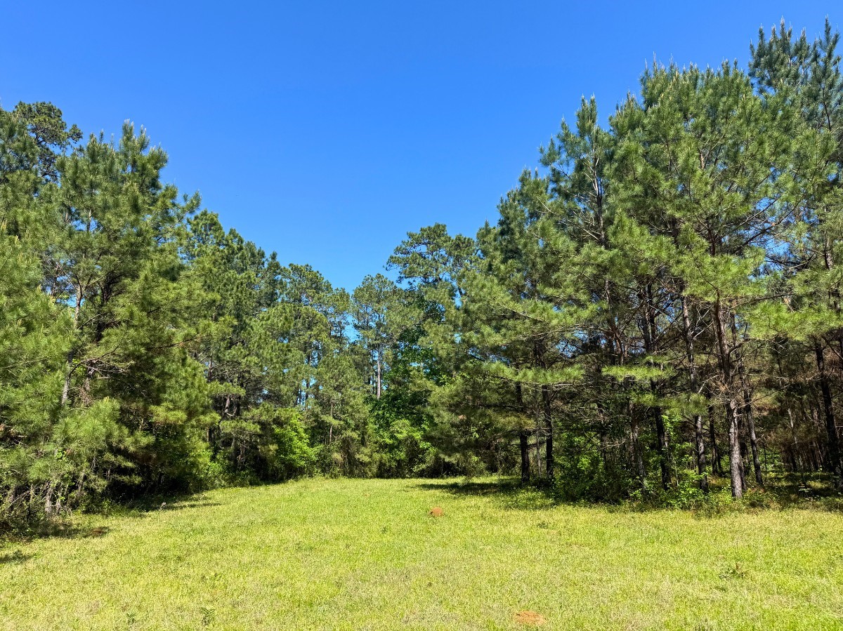 0 Hwy 150 Property Photo 12
