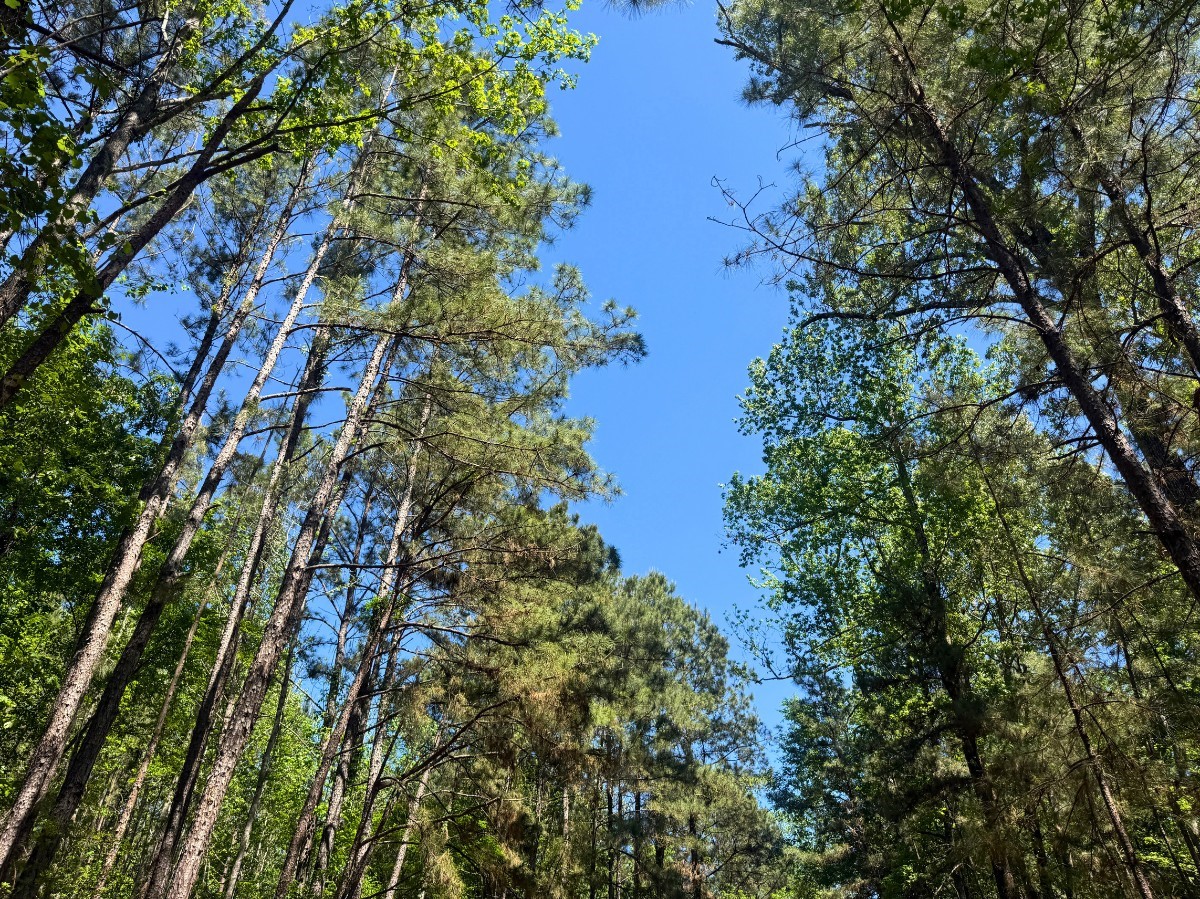0 Hwy 150 Property Photo 18