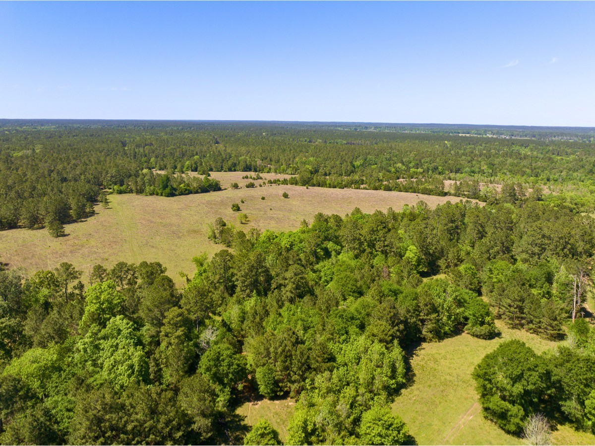 0 Hwy 150 Property Photo 31