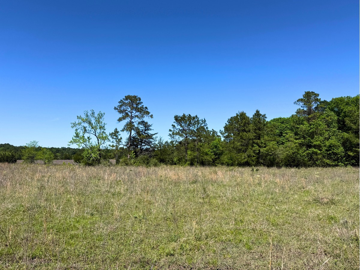 0 Hwy 150 Property Photo 36