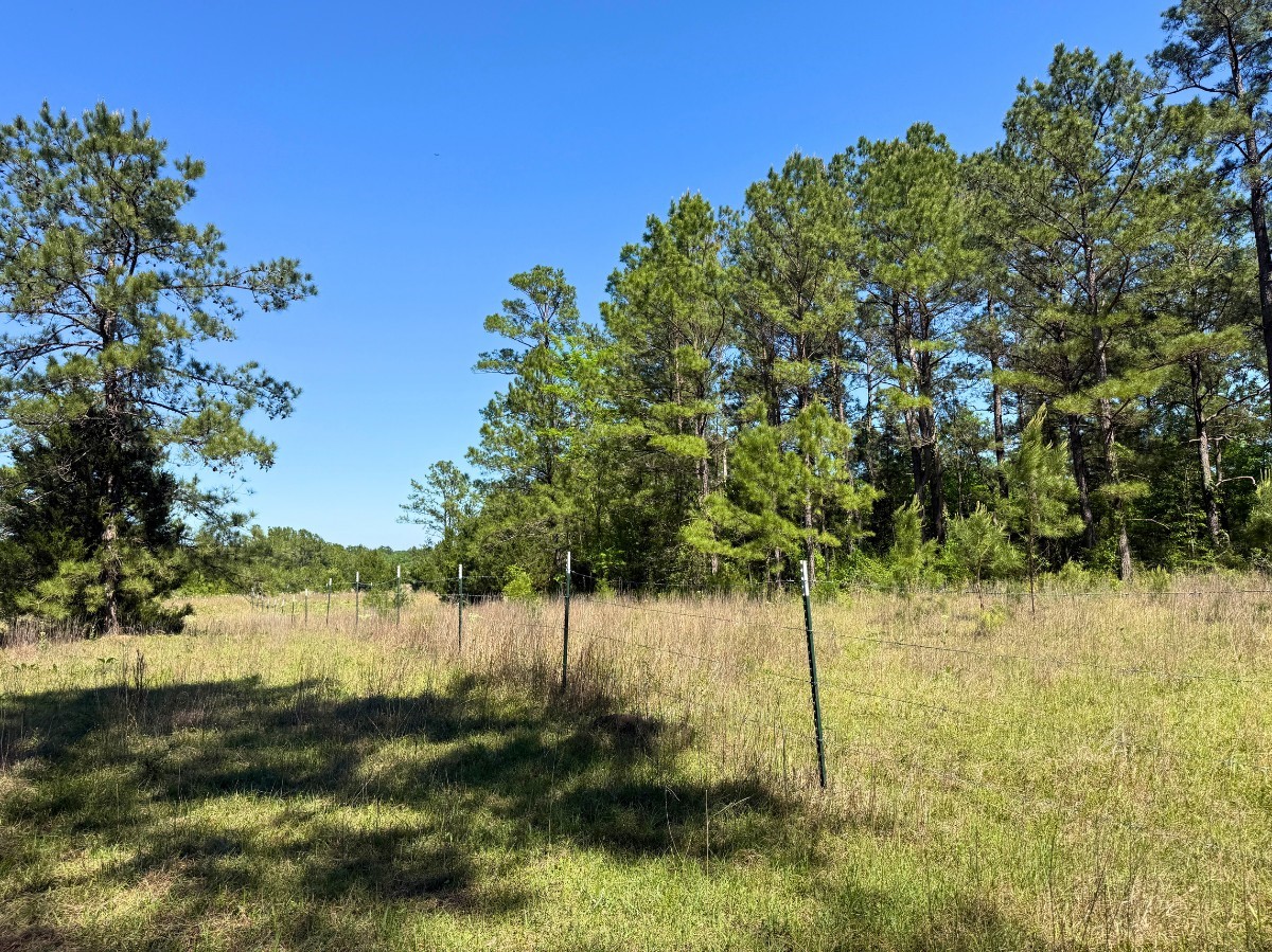0 Hwy 150 Property Photo 37