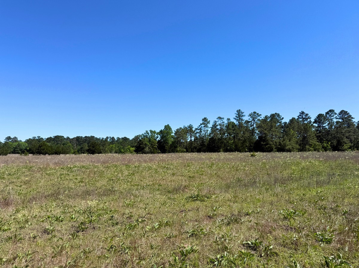 0 Hwy 150 Property Photo 38
