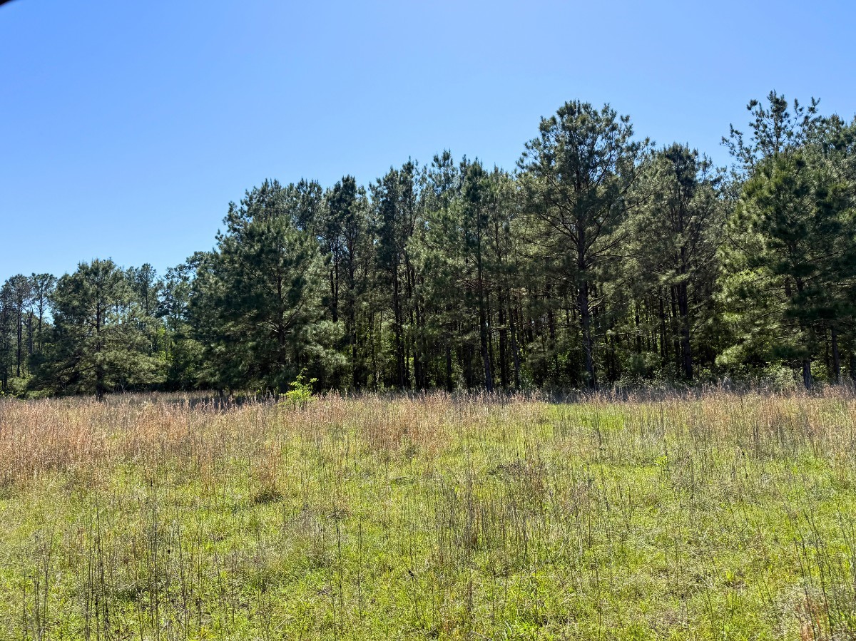 0 Hwy 150 Property Photo 39
