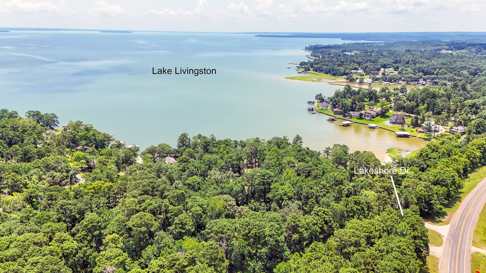Tbd Lakeshore/black Walniut Drive Property Photo 3