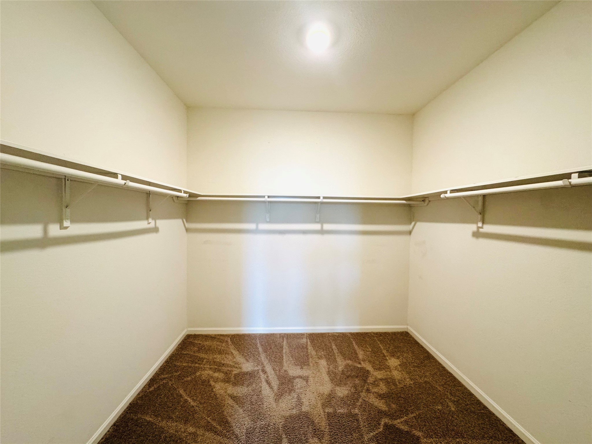 1013 Pitch Pine Court Property Photo 21