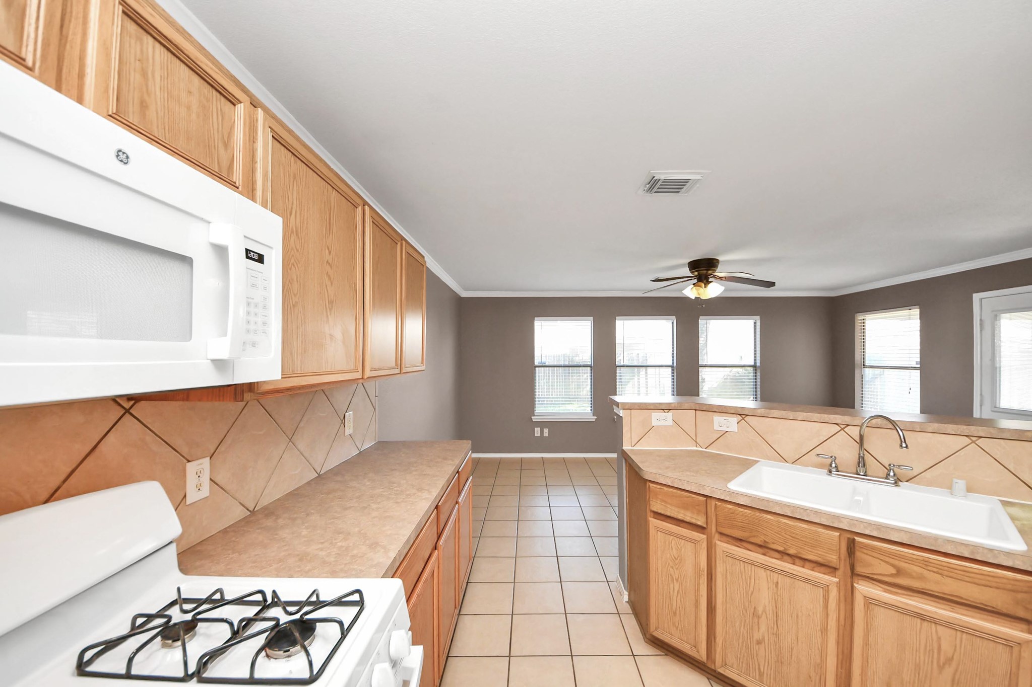 19042 Remington Mill Drive Property Photo 15