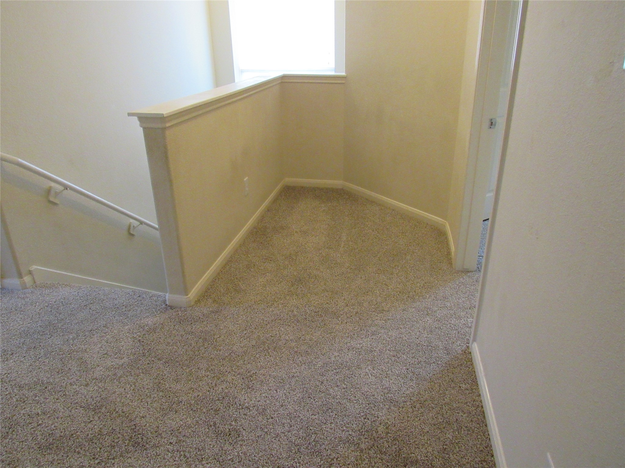 6338 Applewood Forest Drive Property Photo 26