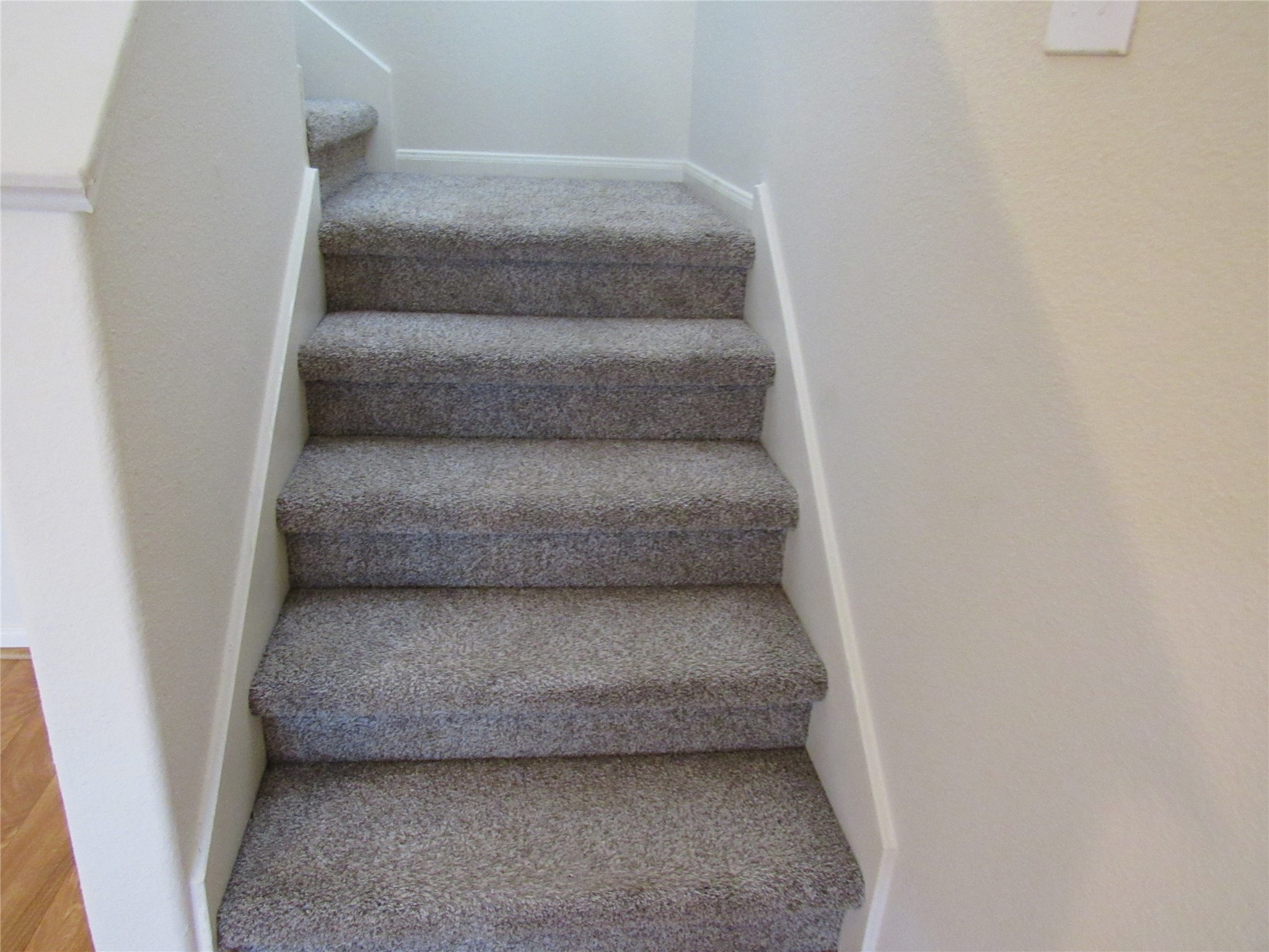 6338 Applewood Forest Drive Property Photo 32