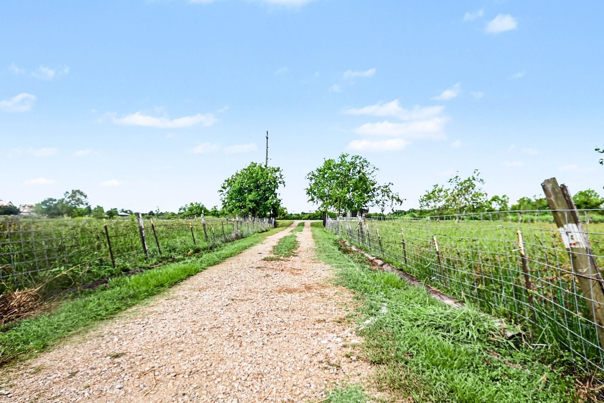 2925 Fm 2917 Property Photo 9