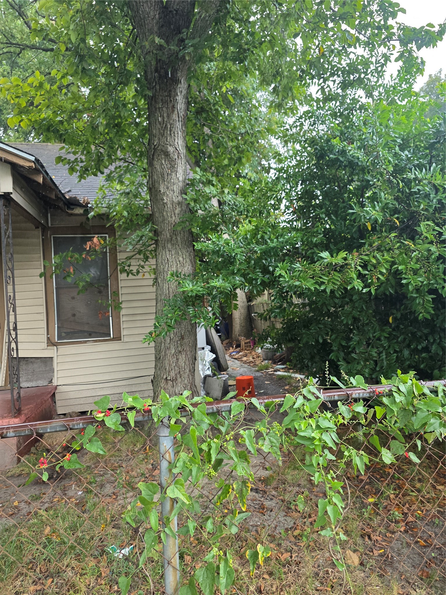 1718 Woodard Street Property Photo 5