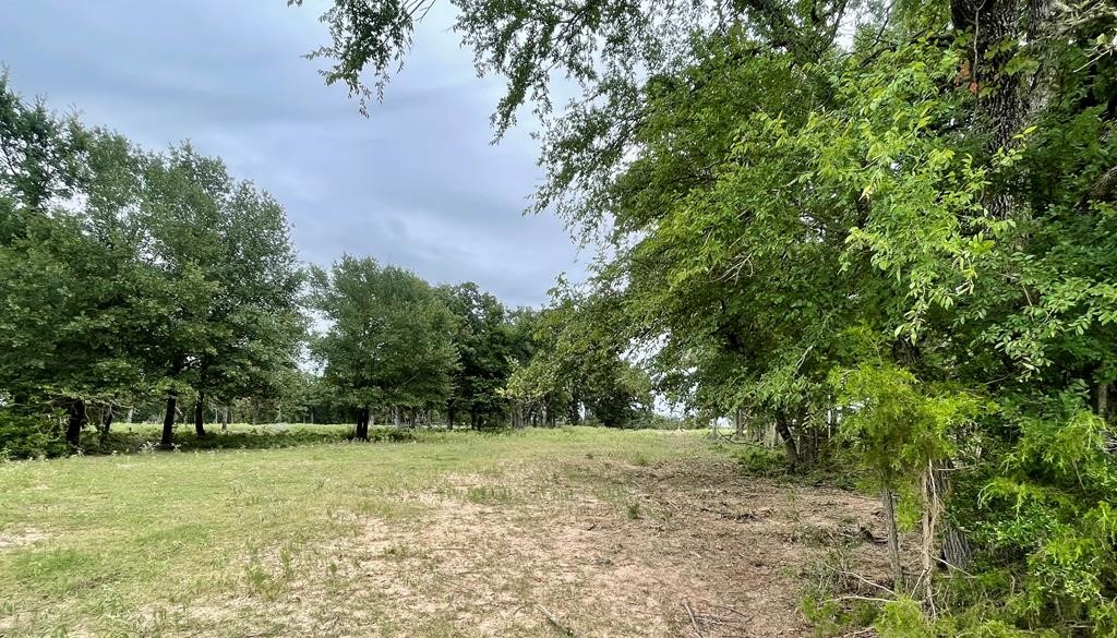 737 Lcr 862 Property Photo 1