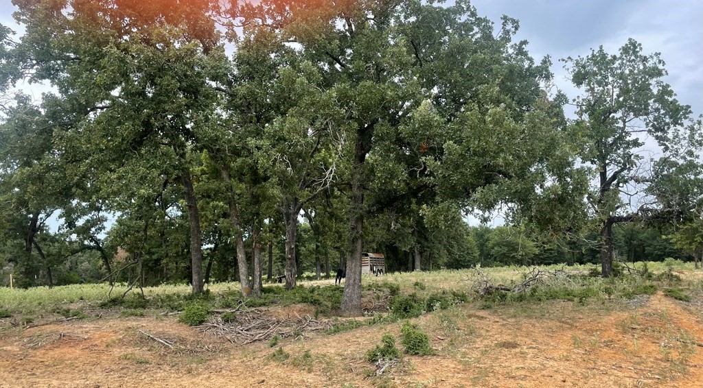 737 Lcr 862 Property Photo 3