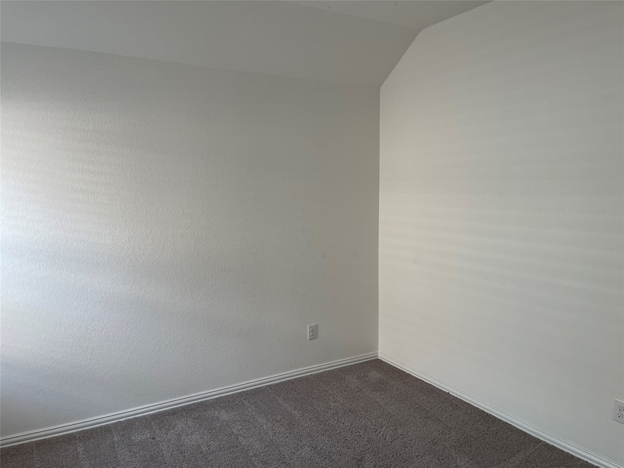 308 Tangle Birch Court Property Photo 19