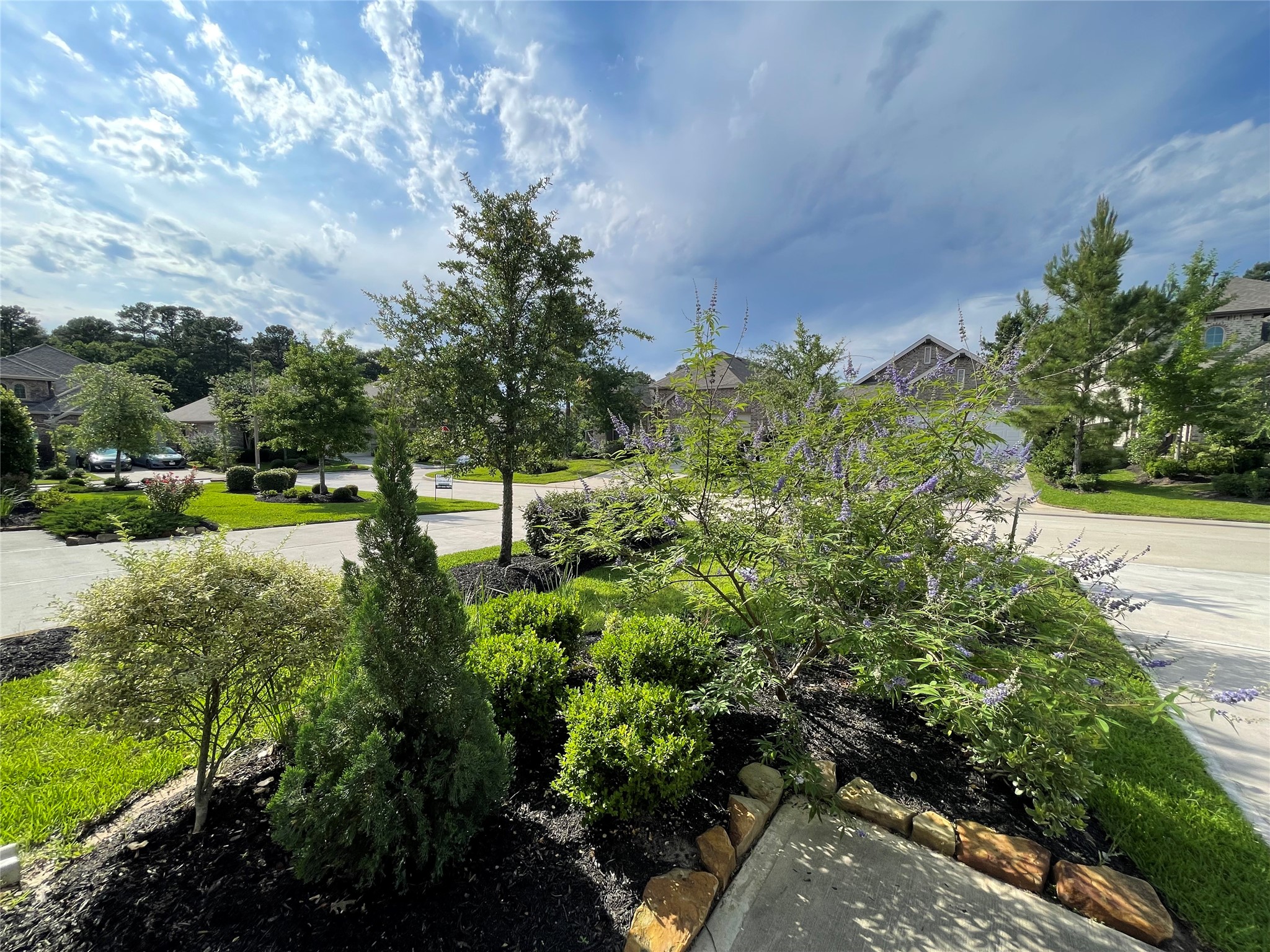 308 Tangle Birch Court Property Photo 26