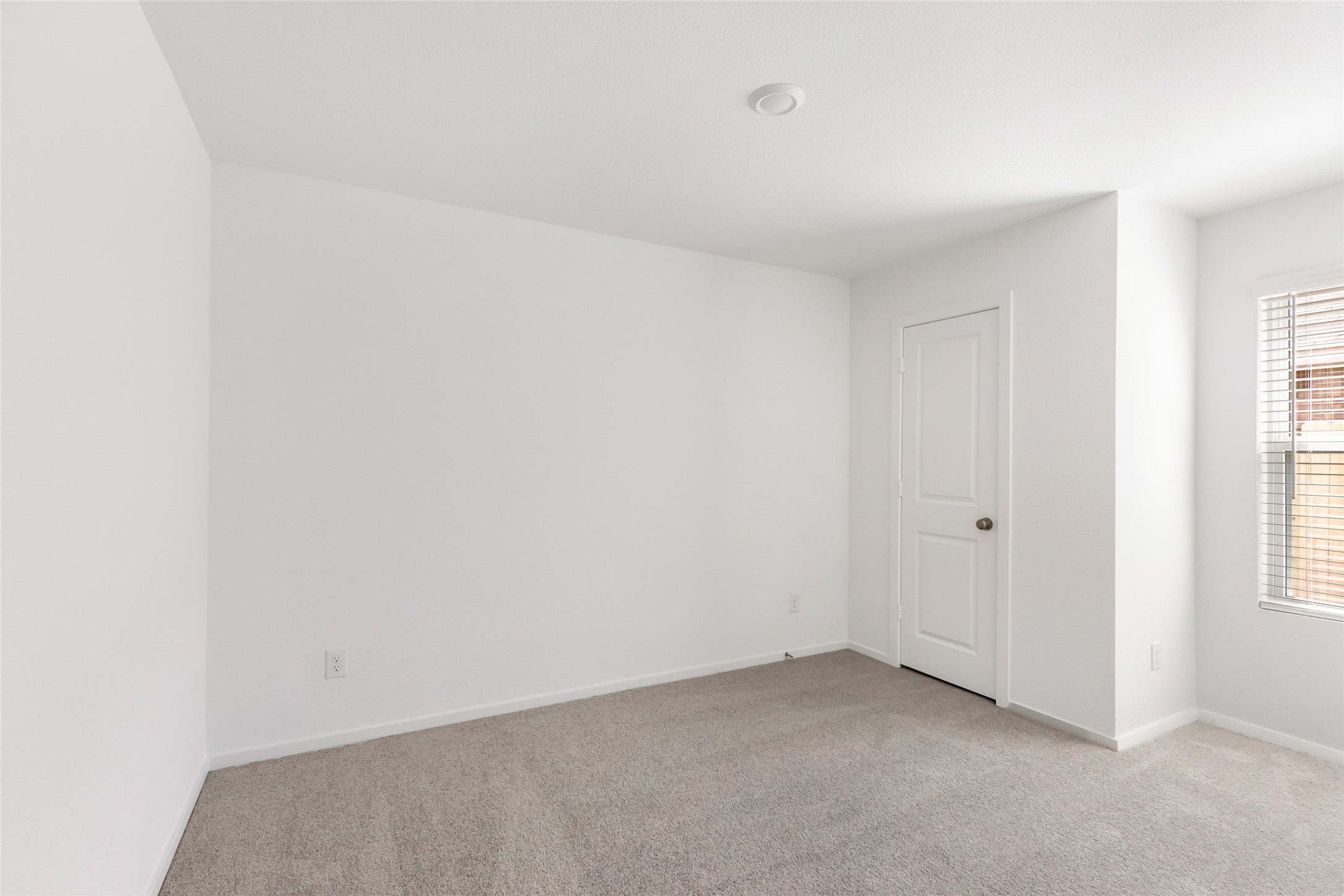 917 Capracotta Drive Property Photo 13