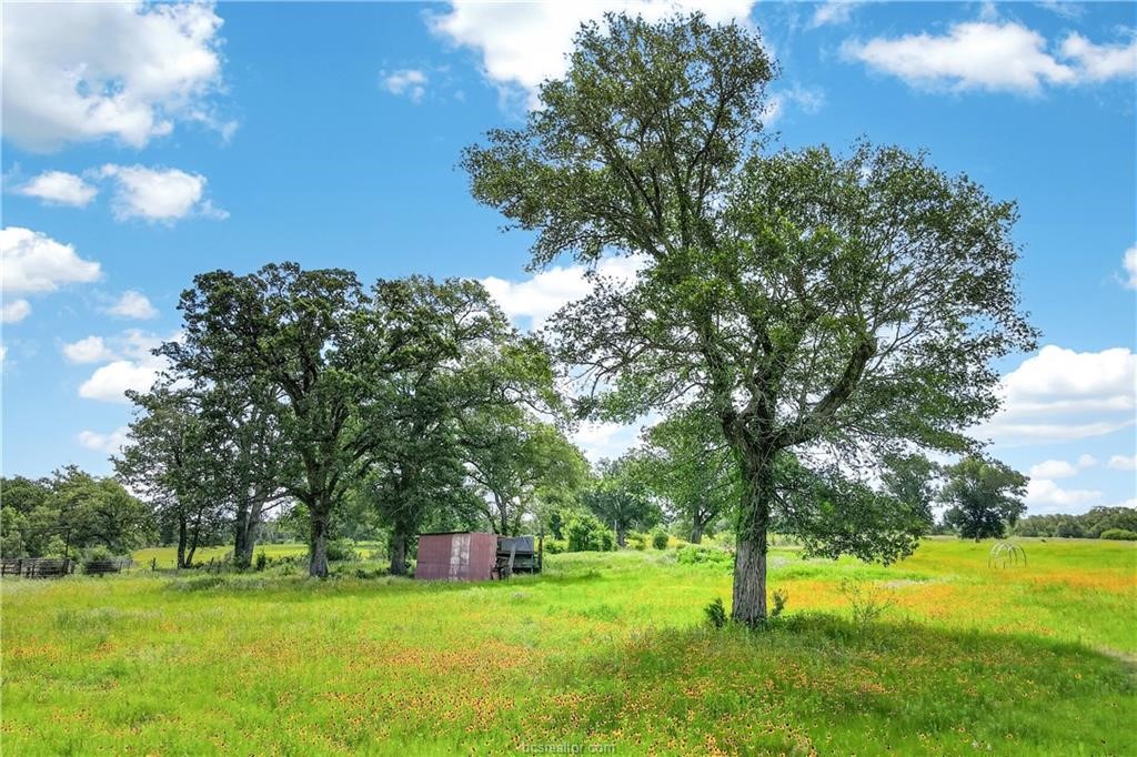 11648 Fm 2000 Property Photo 16