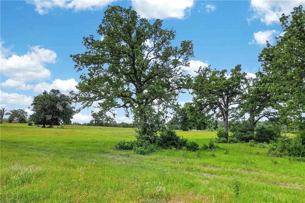 11648 Fm 2000 Property Photo 17