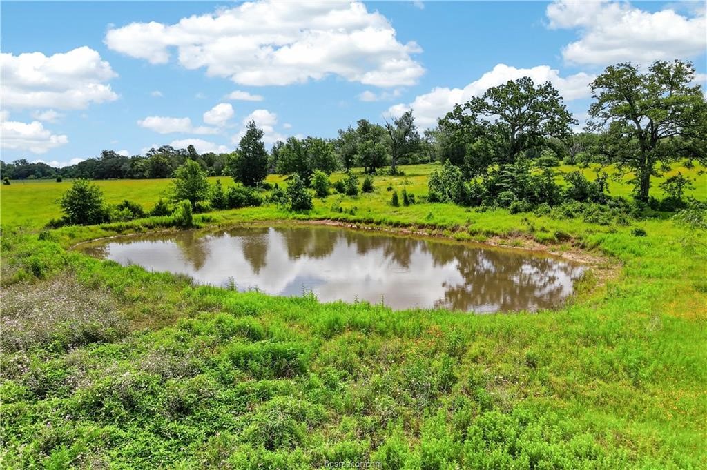 11648 Fm 2000 Property Photo 18