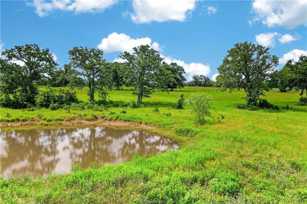 11648 Fm 2000 Property Photo 19