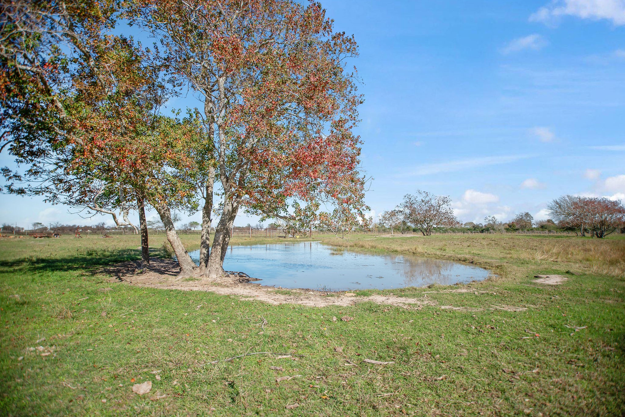Tbd County Road 429 Property Photo 1