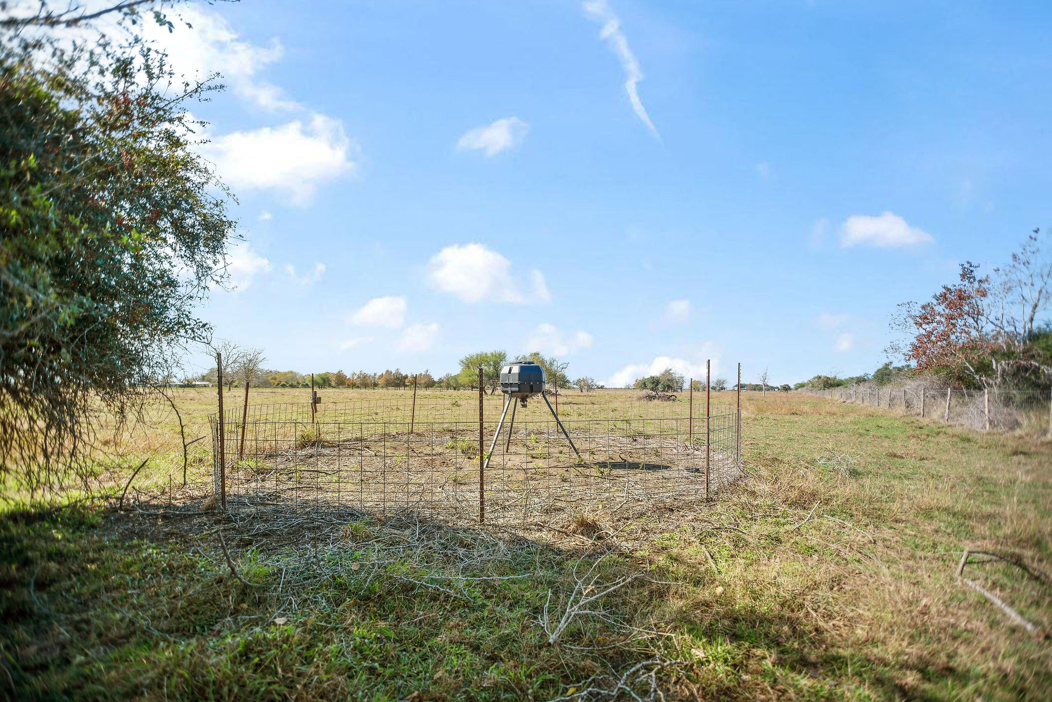 Tbd County Road 429 Property Photo 2