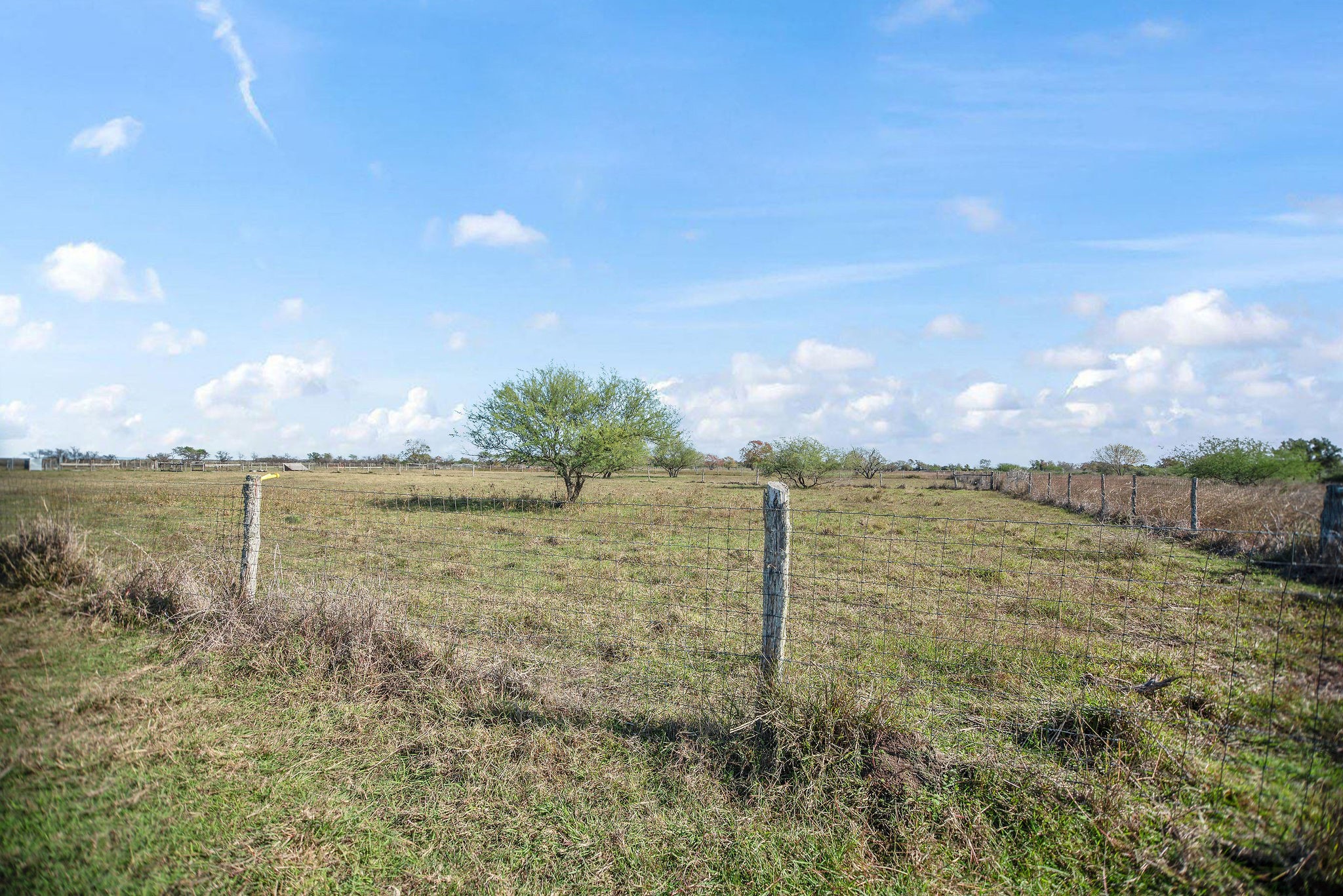 Tbd County Road 429 Property Photo 6