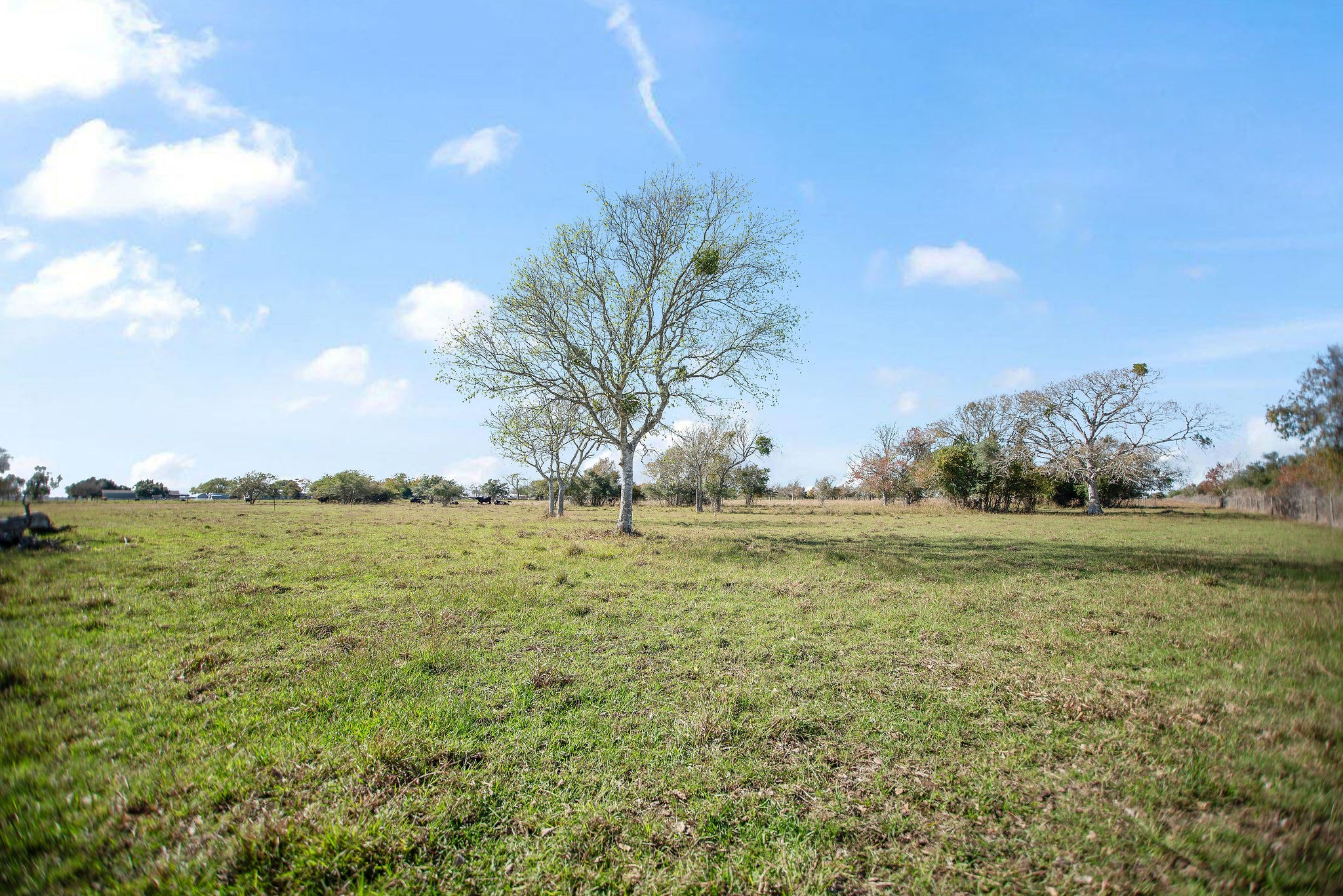 Tbd County Road 429 Property Photo 13