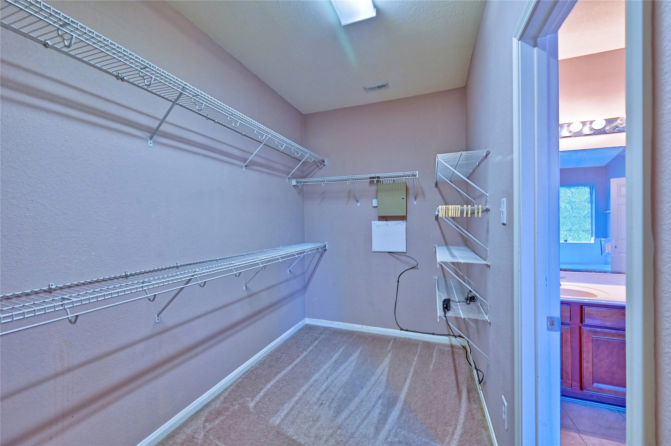 12606 Twin Flower Drive Property Photo 35