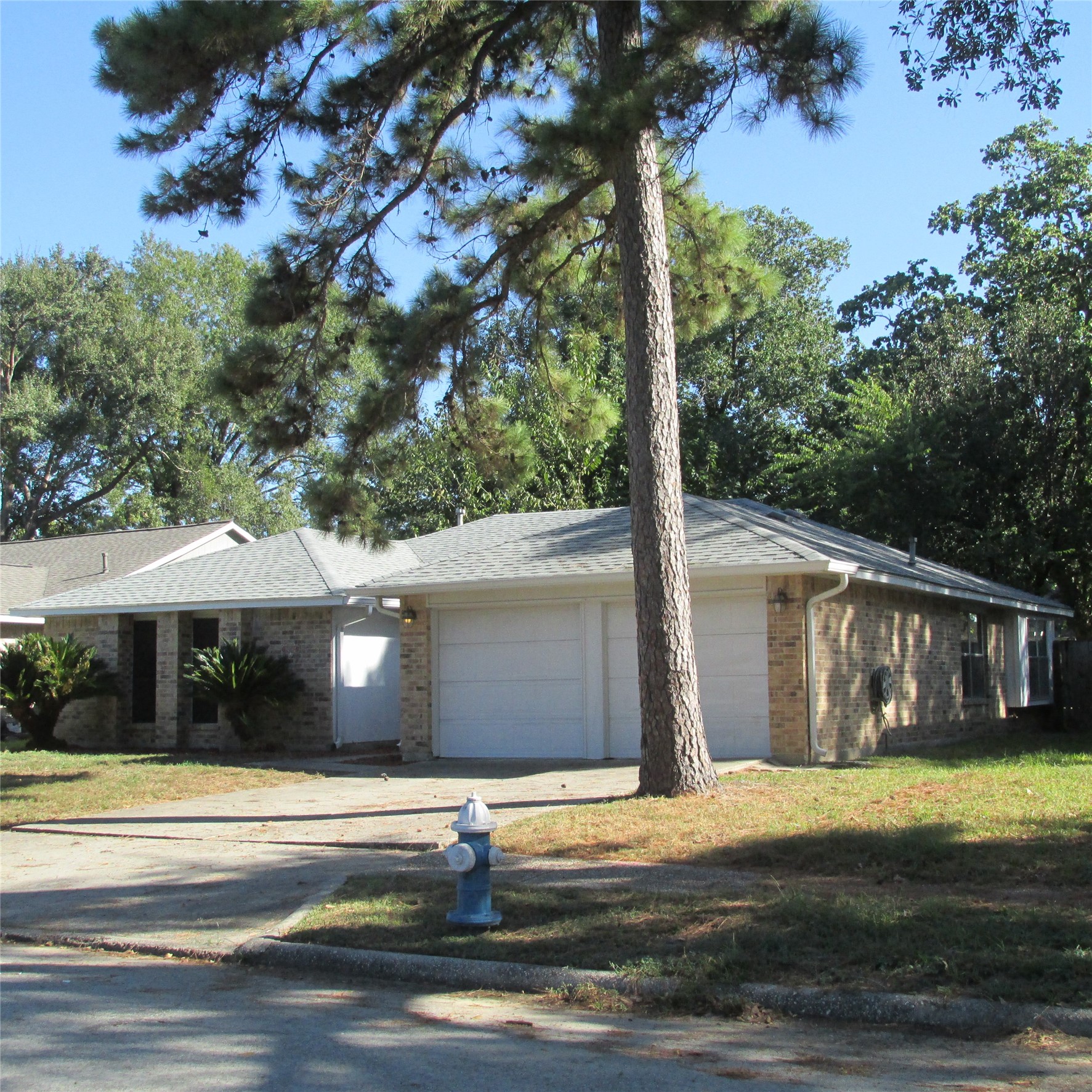 24042 Spring Gum Drive Property Photo 4