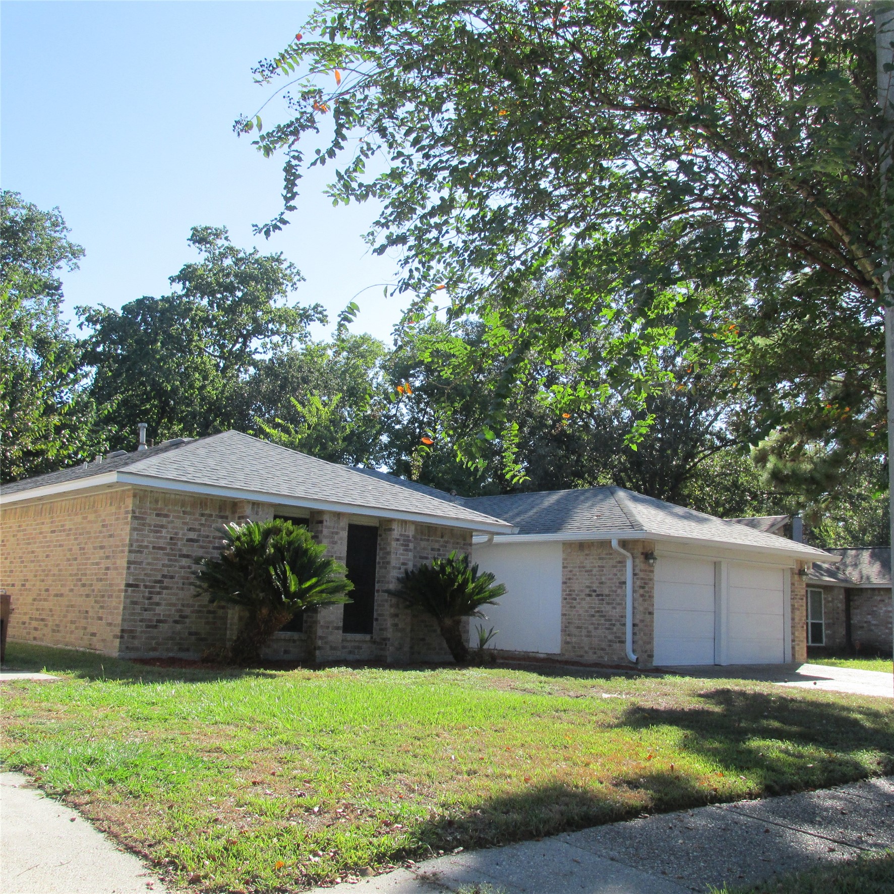 24042 Spring Gum Drive Property Photo 5